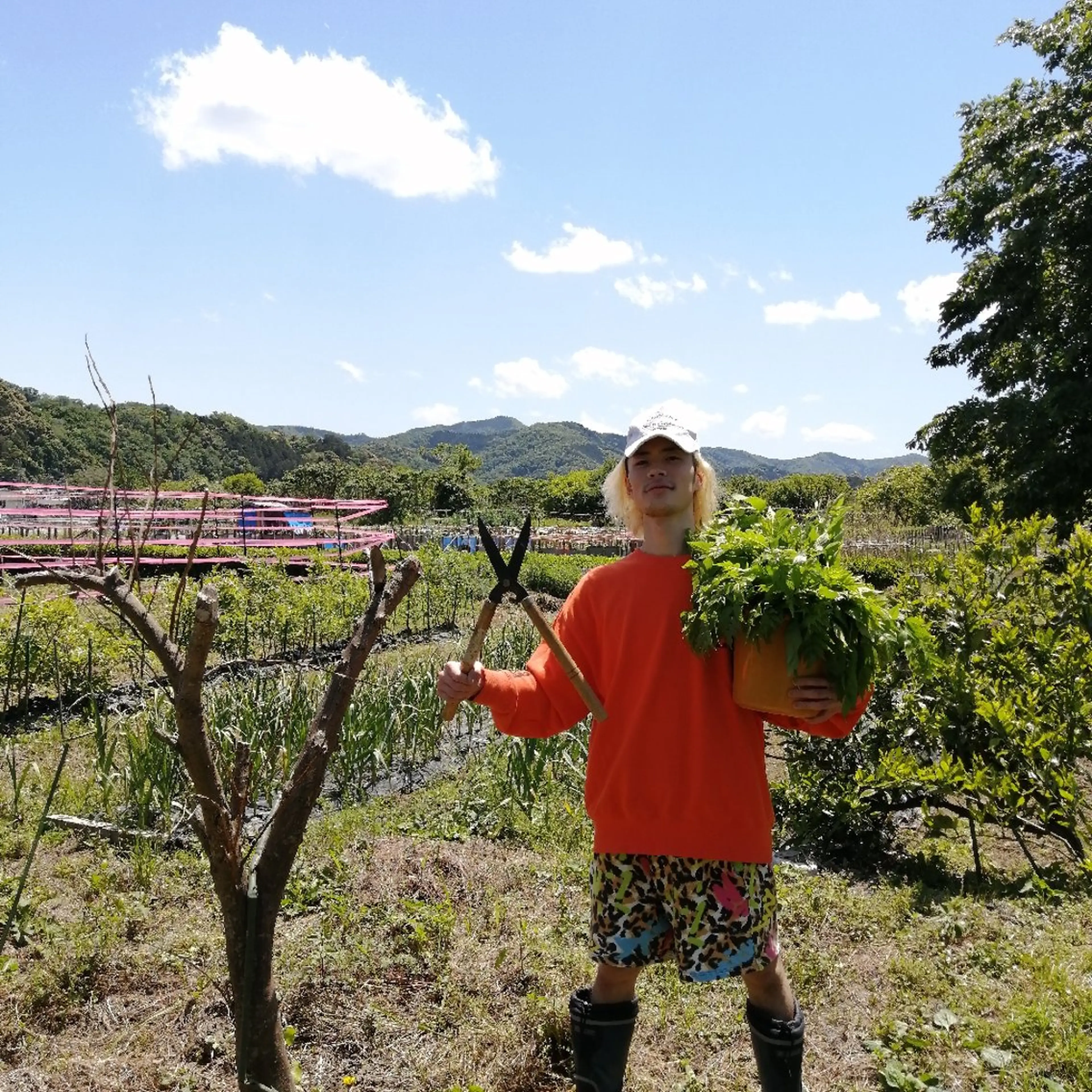 D/i所属・D/i |Y/no. 〈夜スパ17時〜〉のヘアスタイル