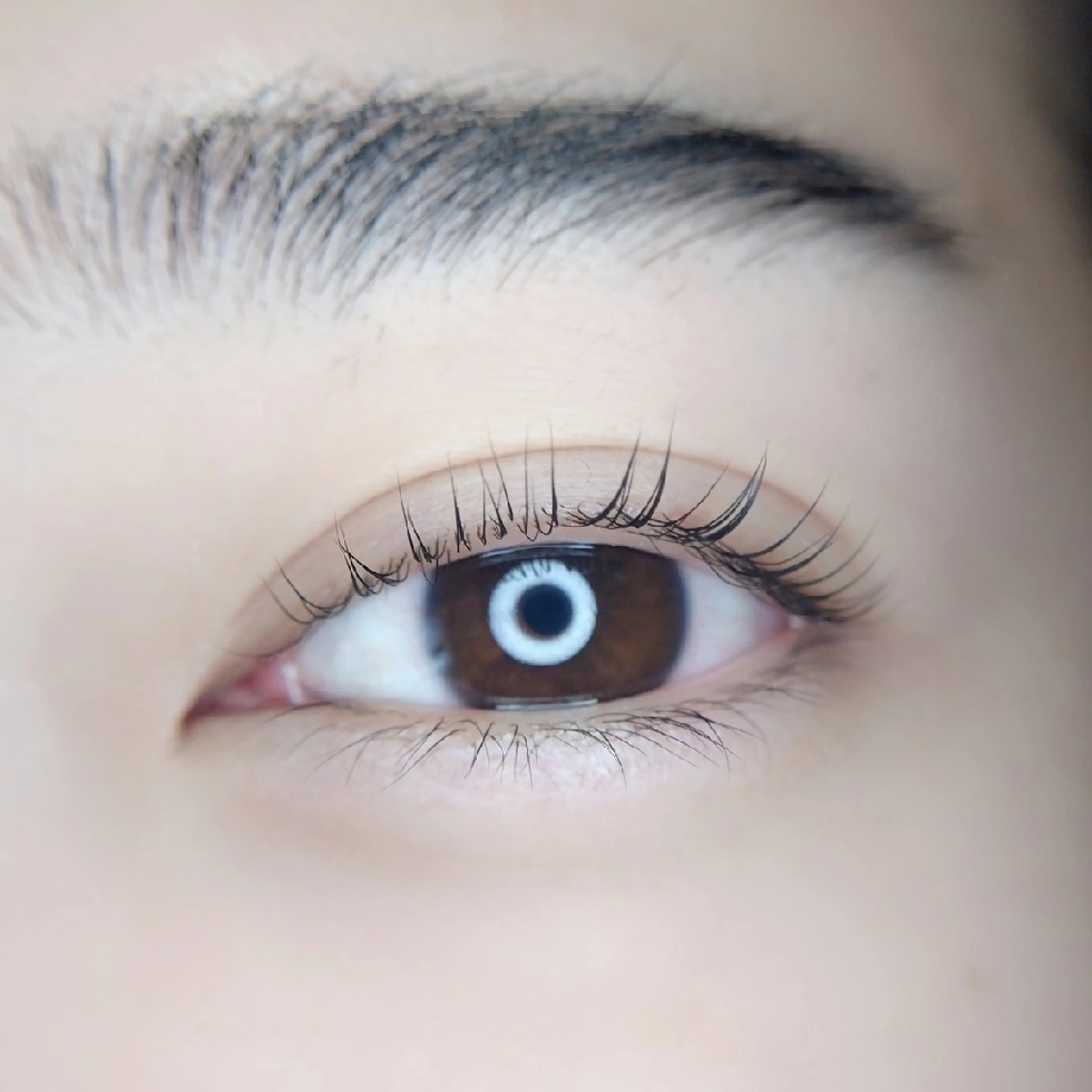 マツエク・マツパ Chelu TOMのマツエク・マツパデザイン