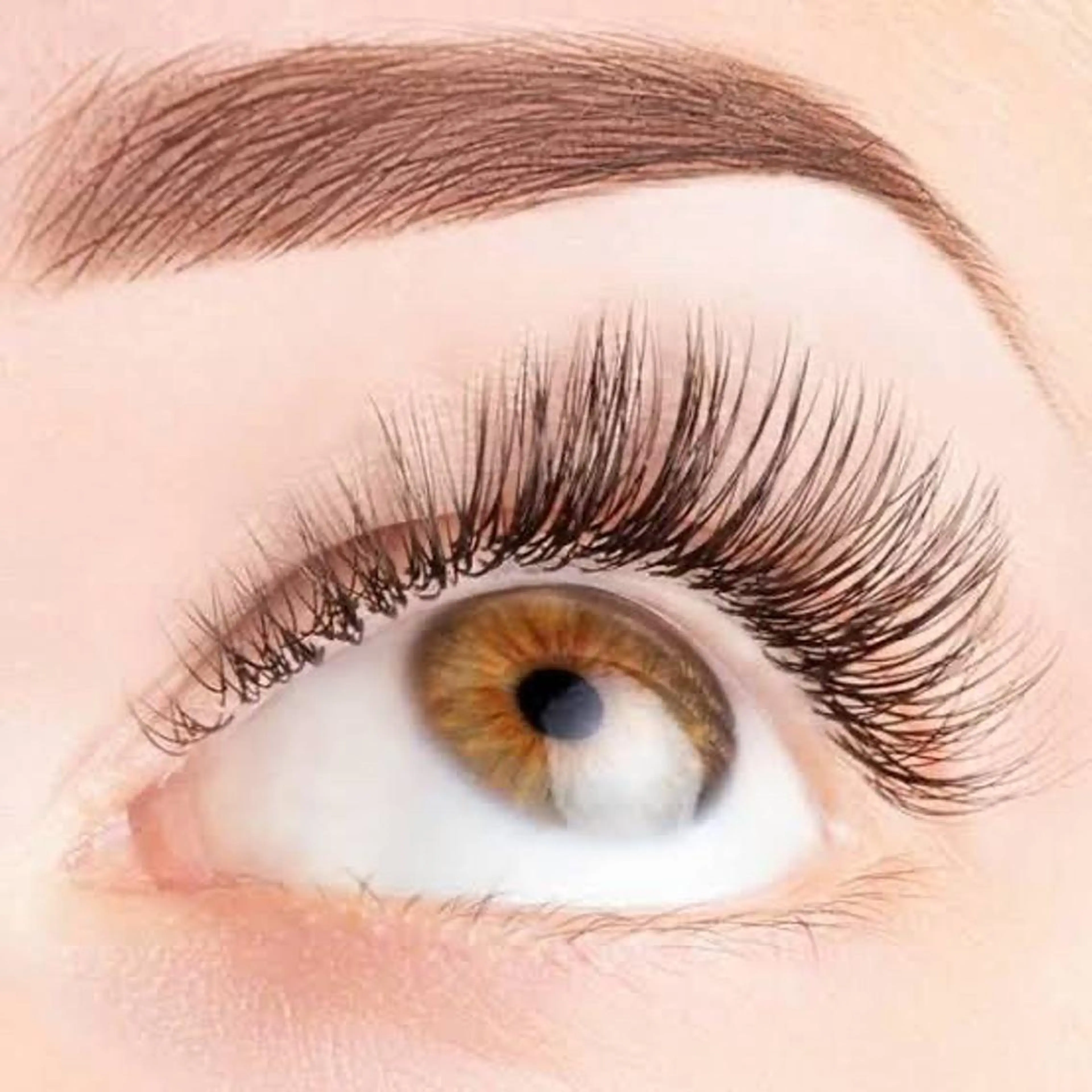 マツエク・マツパ マツパ irieアイリー 鈴木紀美の眉毛・アイブロウイメージ