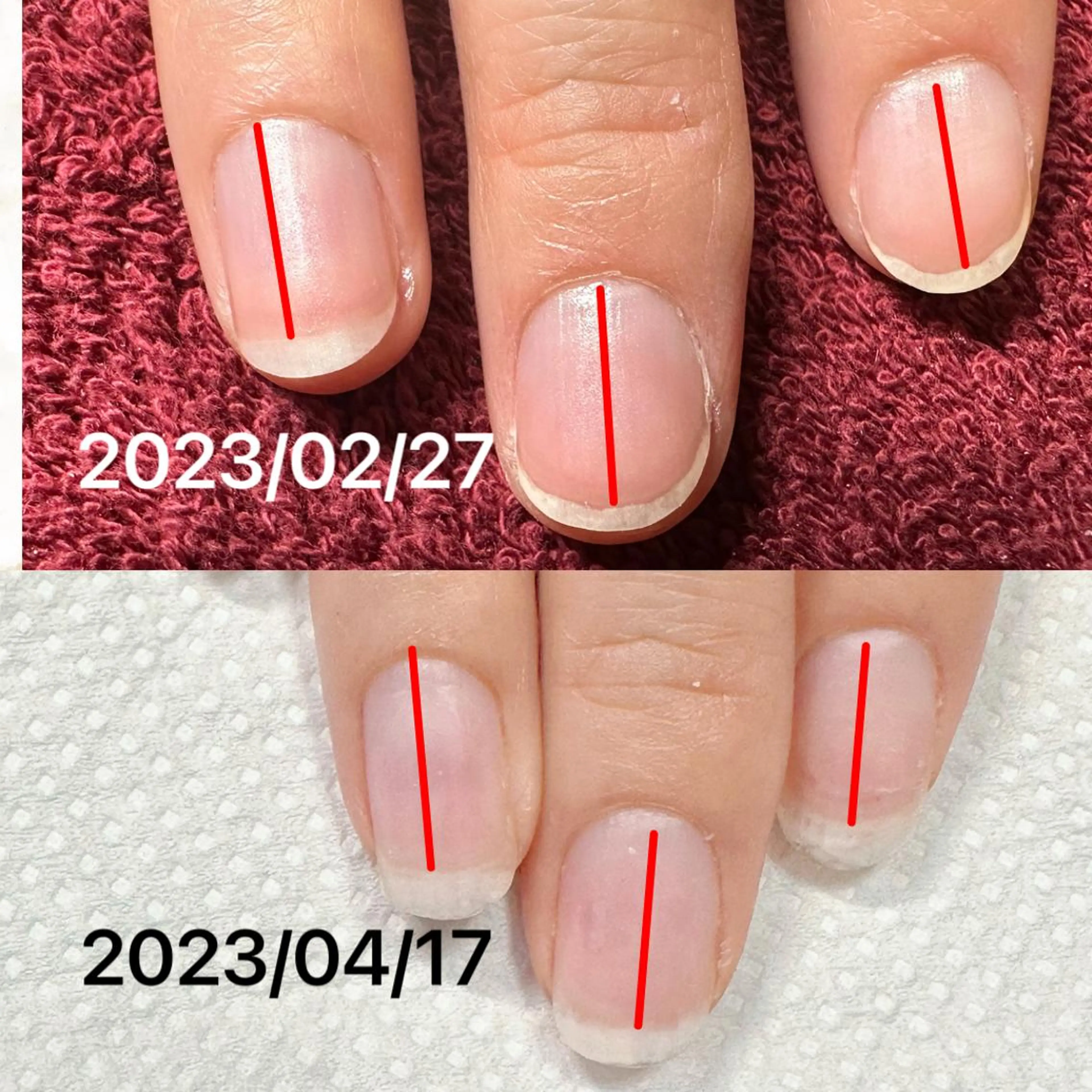 ネイル ネイルケアサロン Campanulaのネイルデザイン