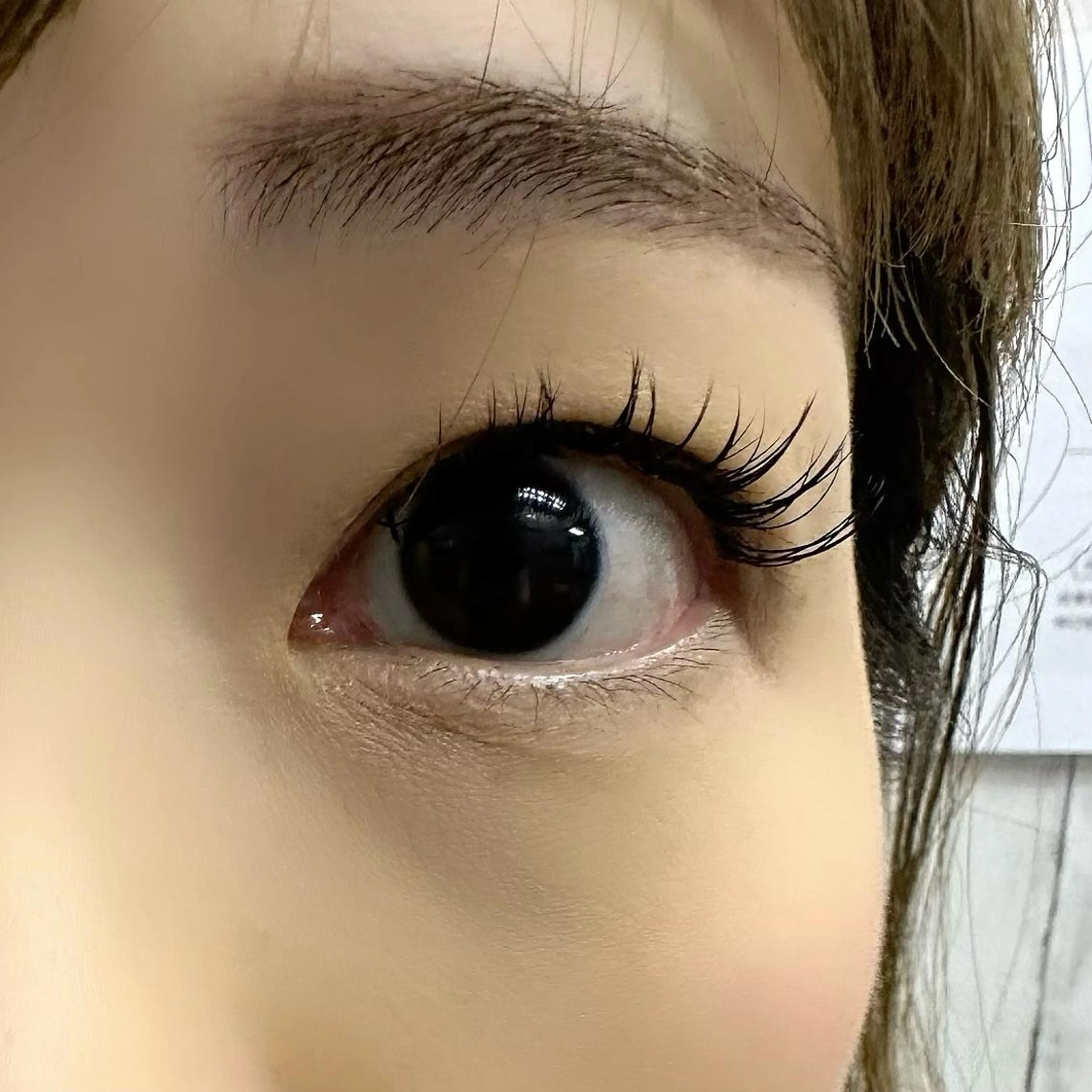 マツエク・マツパ Dカール Miyu🦄ash メンズカット/まつげのヘアスタイル