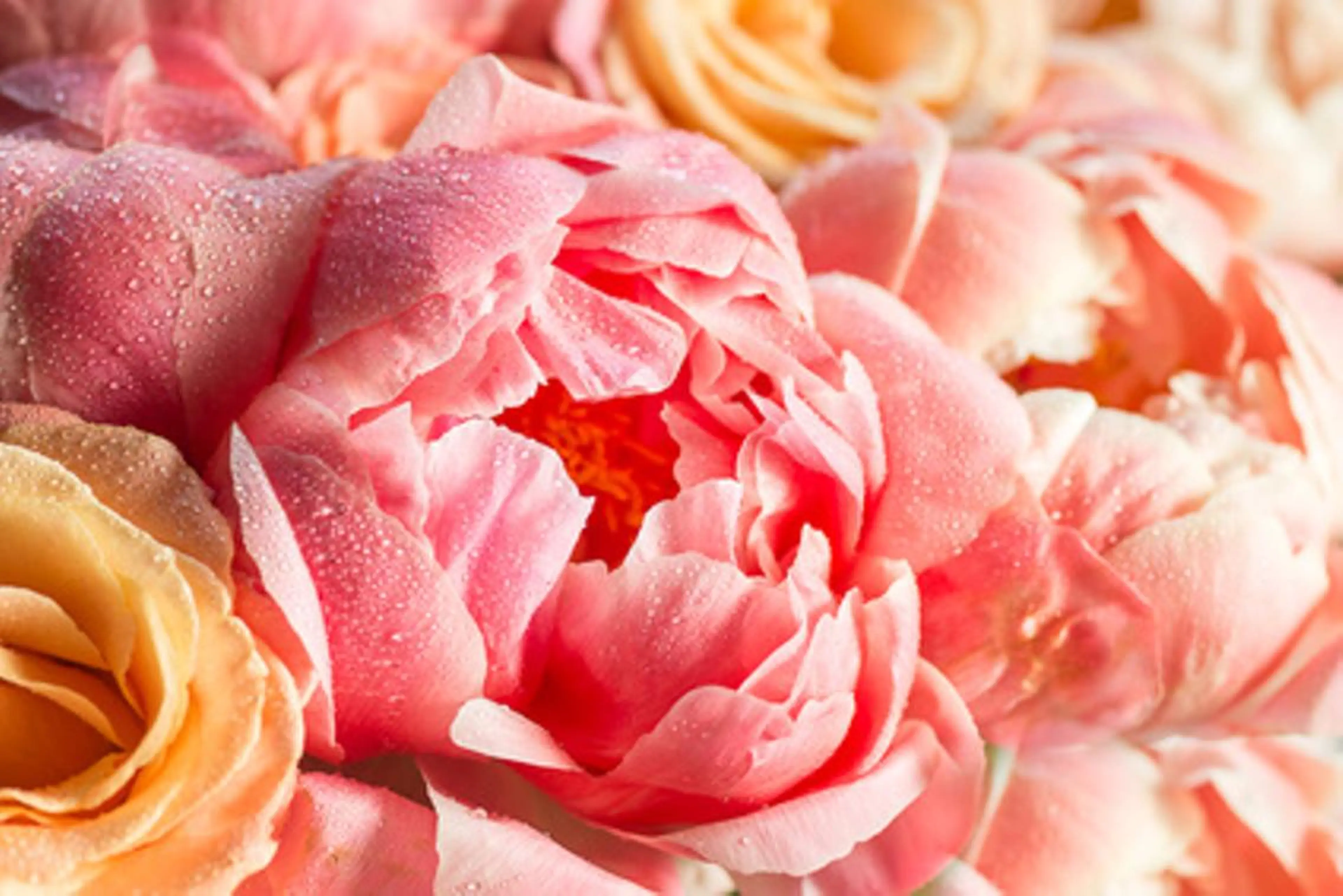 エステ リラク genese beauteのエステ・リラクイメージ