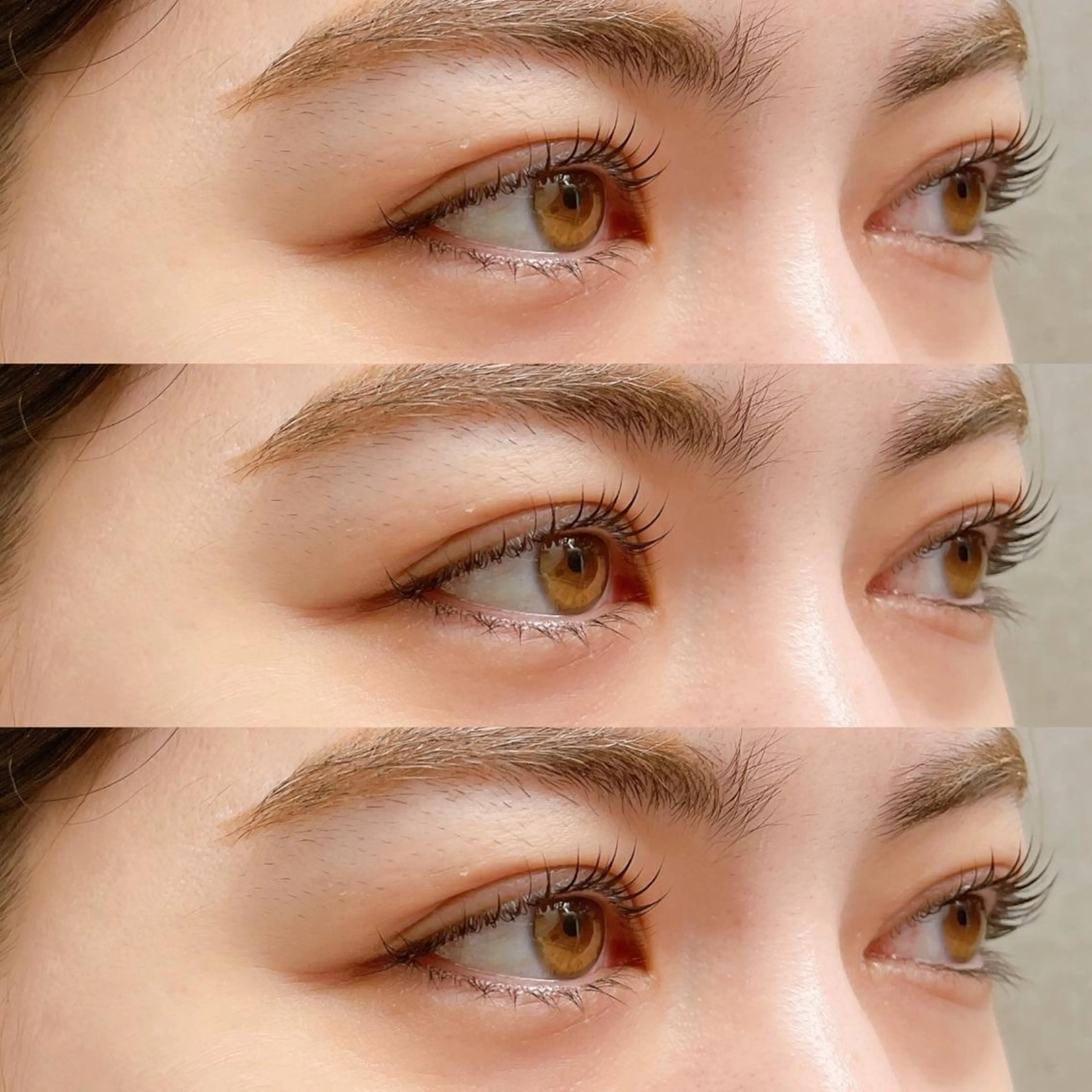 【新規限定】まつげパーマの写真