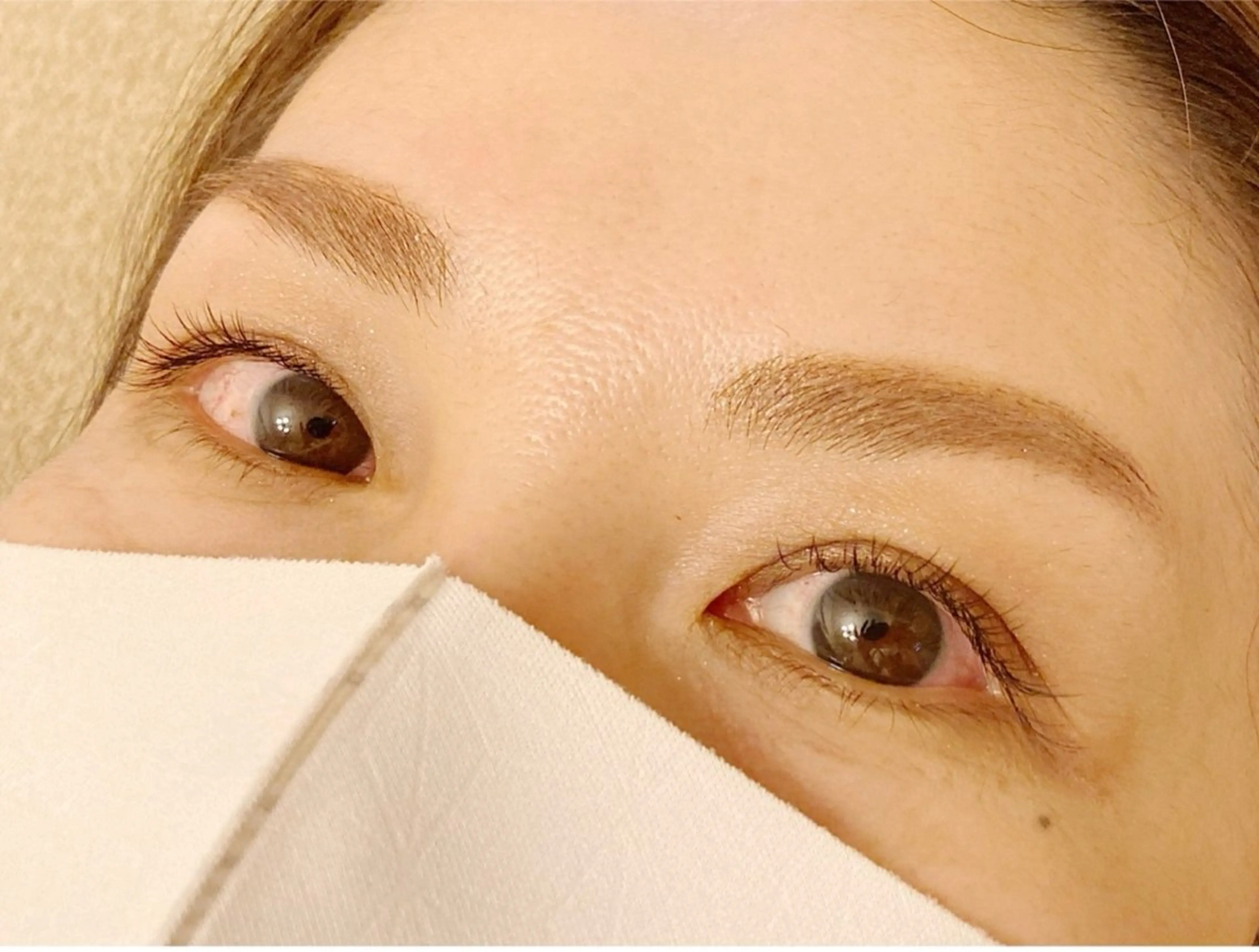 フェアリーフラットラッシュ100本(オフ、コーティング込)の写真