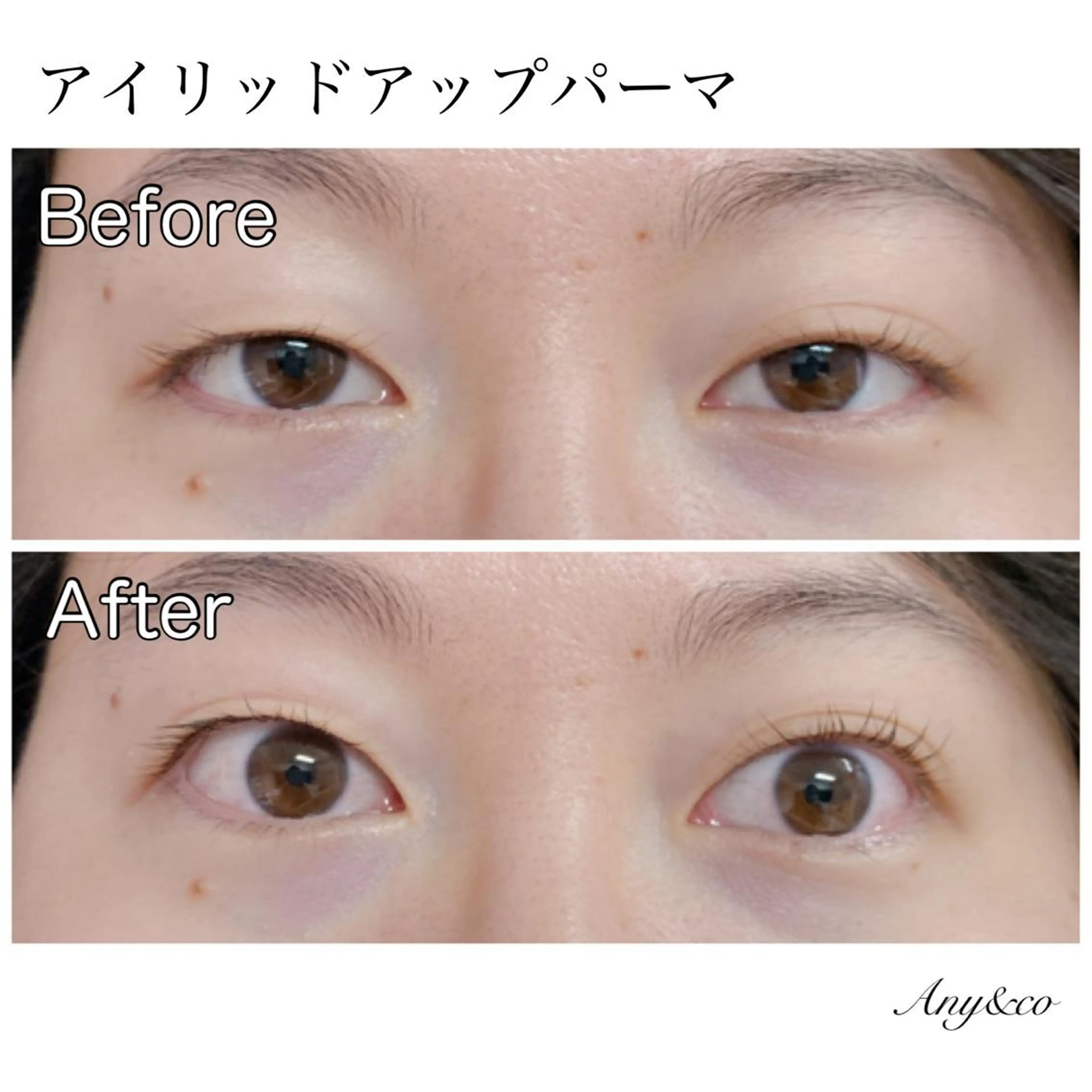 マツエク・マツパ アイリッドアップパーマ Any&co 【エニコ】のマツエク・マツパデザイン