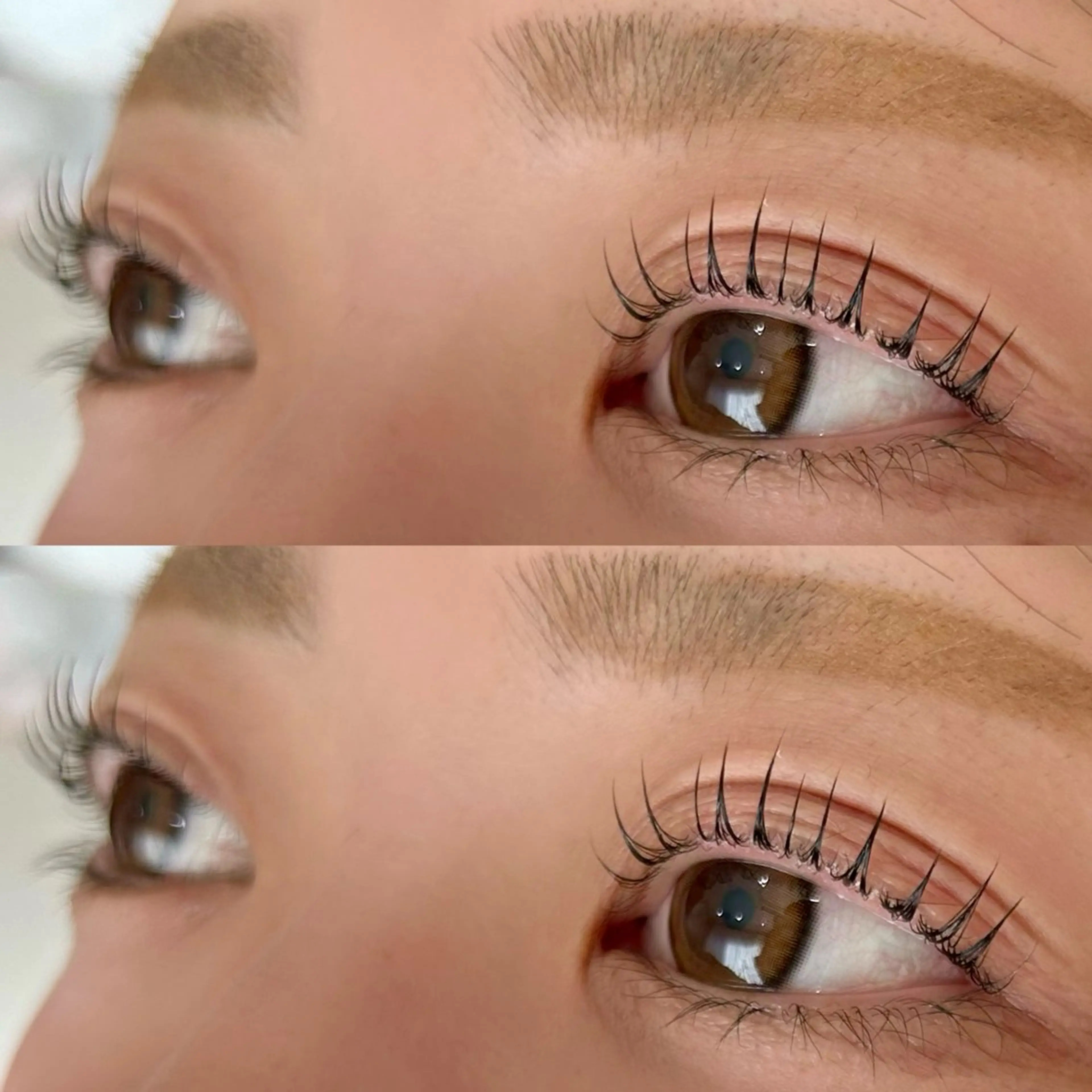 マツエク・マツパ 束感まつ毛 ナチュラル Lebon eye serina🦋のマツエク・マツパデザイン