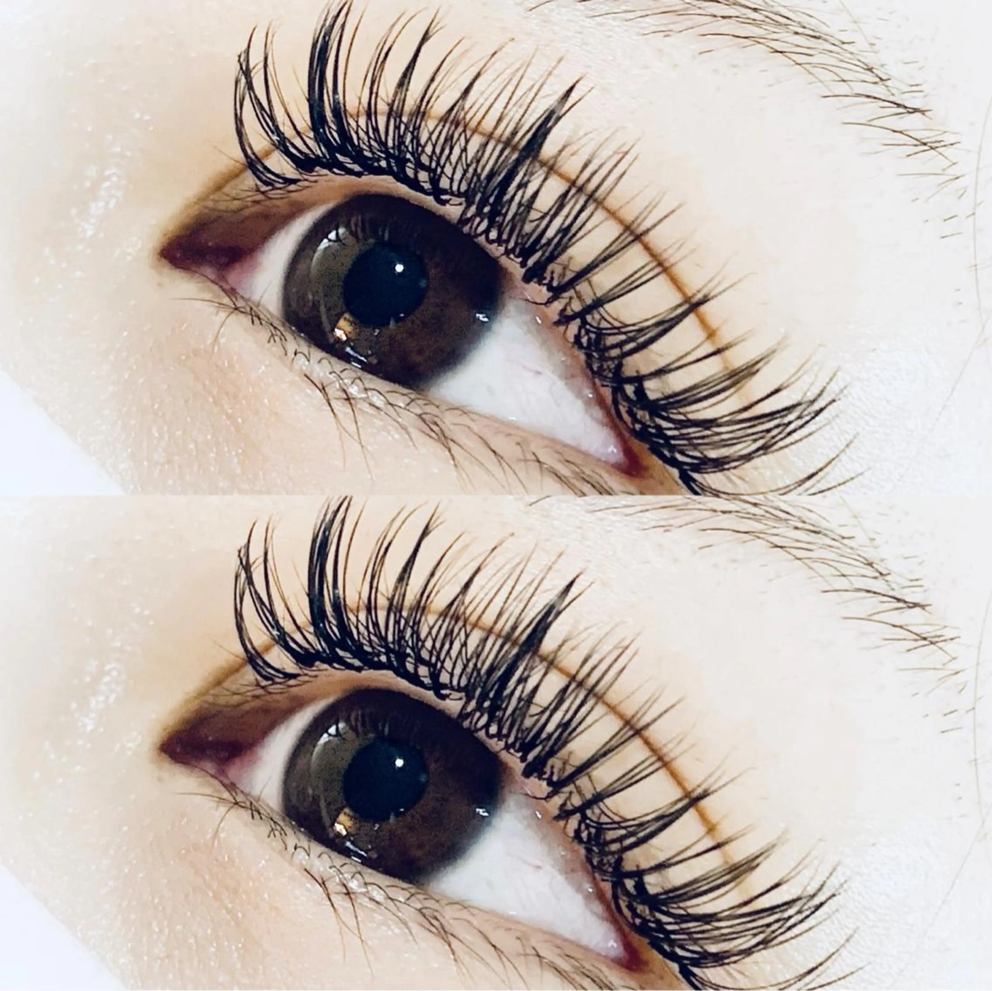 バインドロック120束《オフの有無をお知らせください》の写真