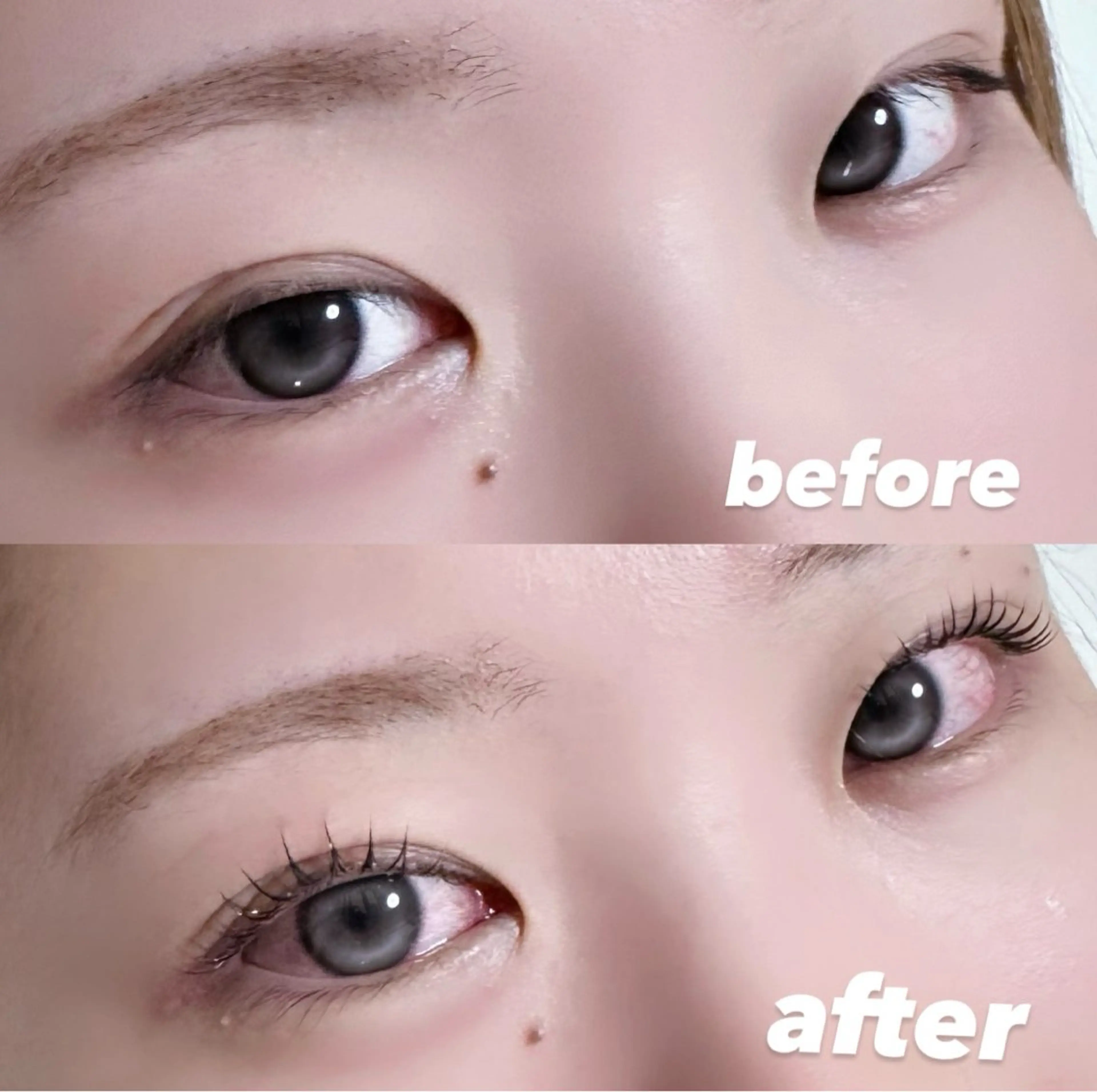 【まつげパーマ★立ち上げxCカール】ミミドール ¥3480の写真