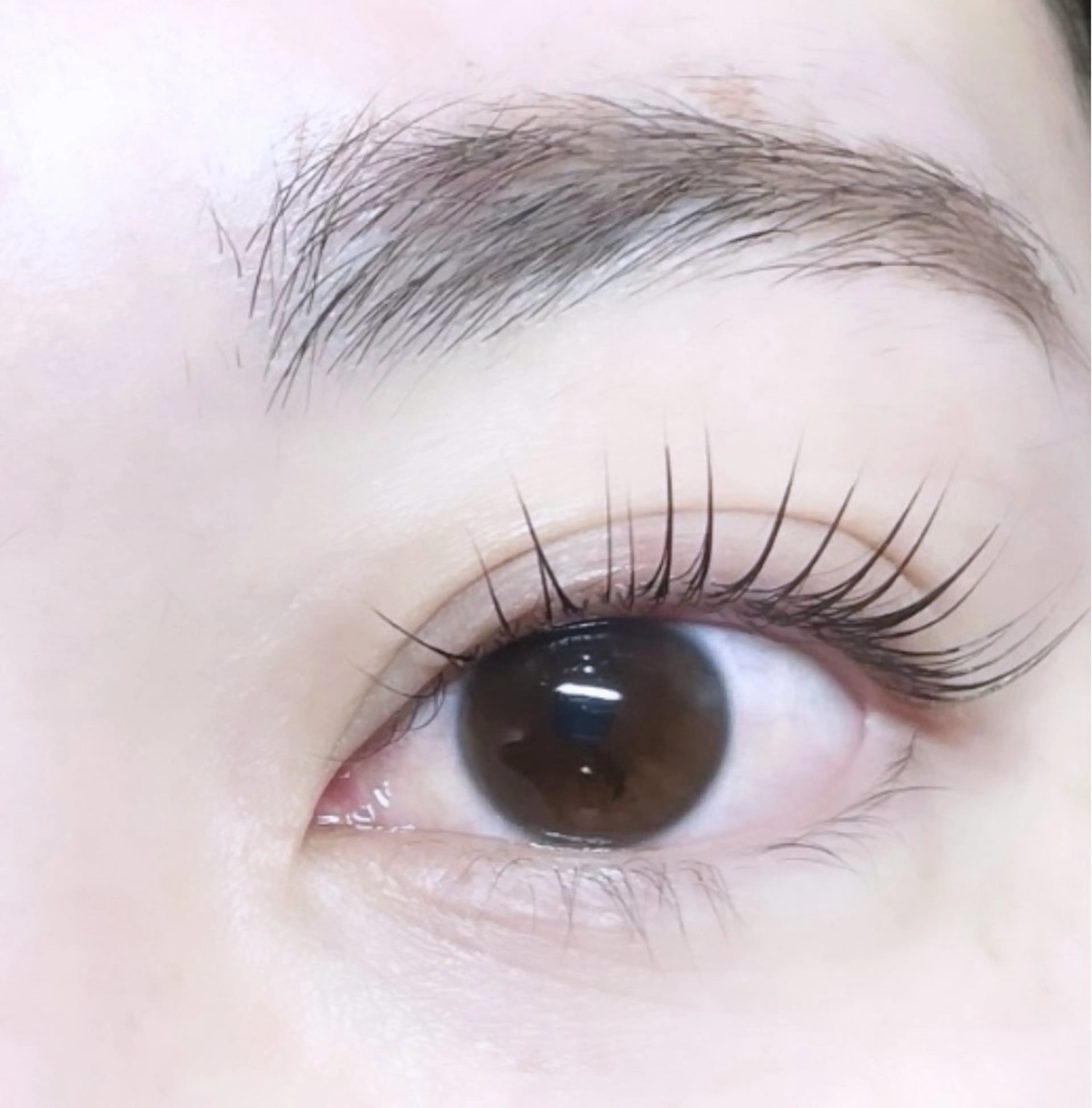 マツエク・マツパ 長谷川 美璃亜のマツエク・マツパデザイン