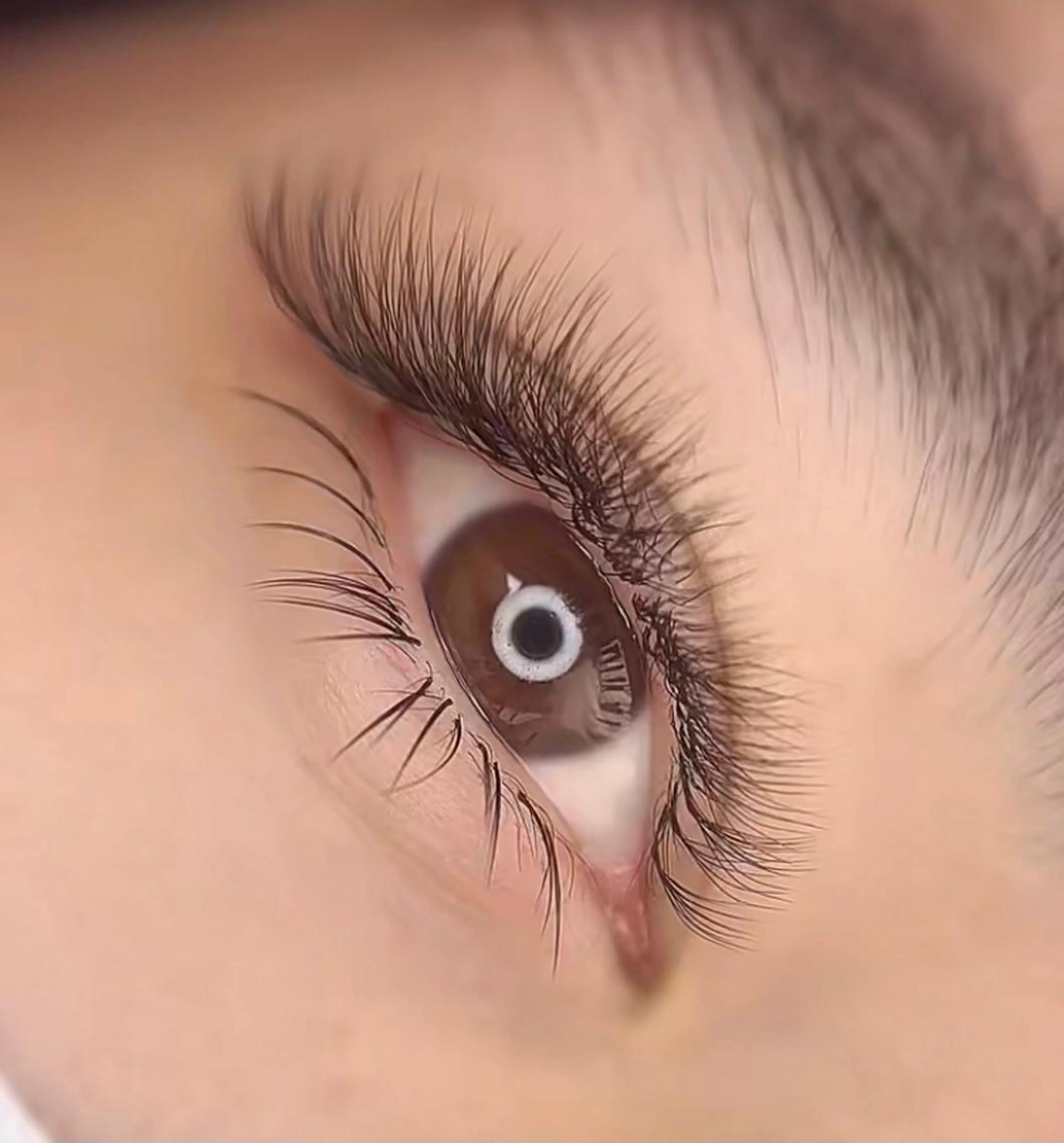 マツエク・マツパ ボリュームラッシュ マツエク 林 萌えのマツエク・マツパデザイン