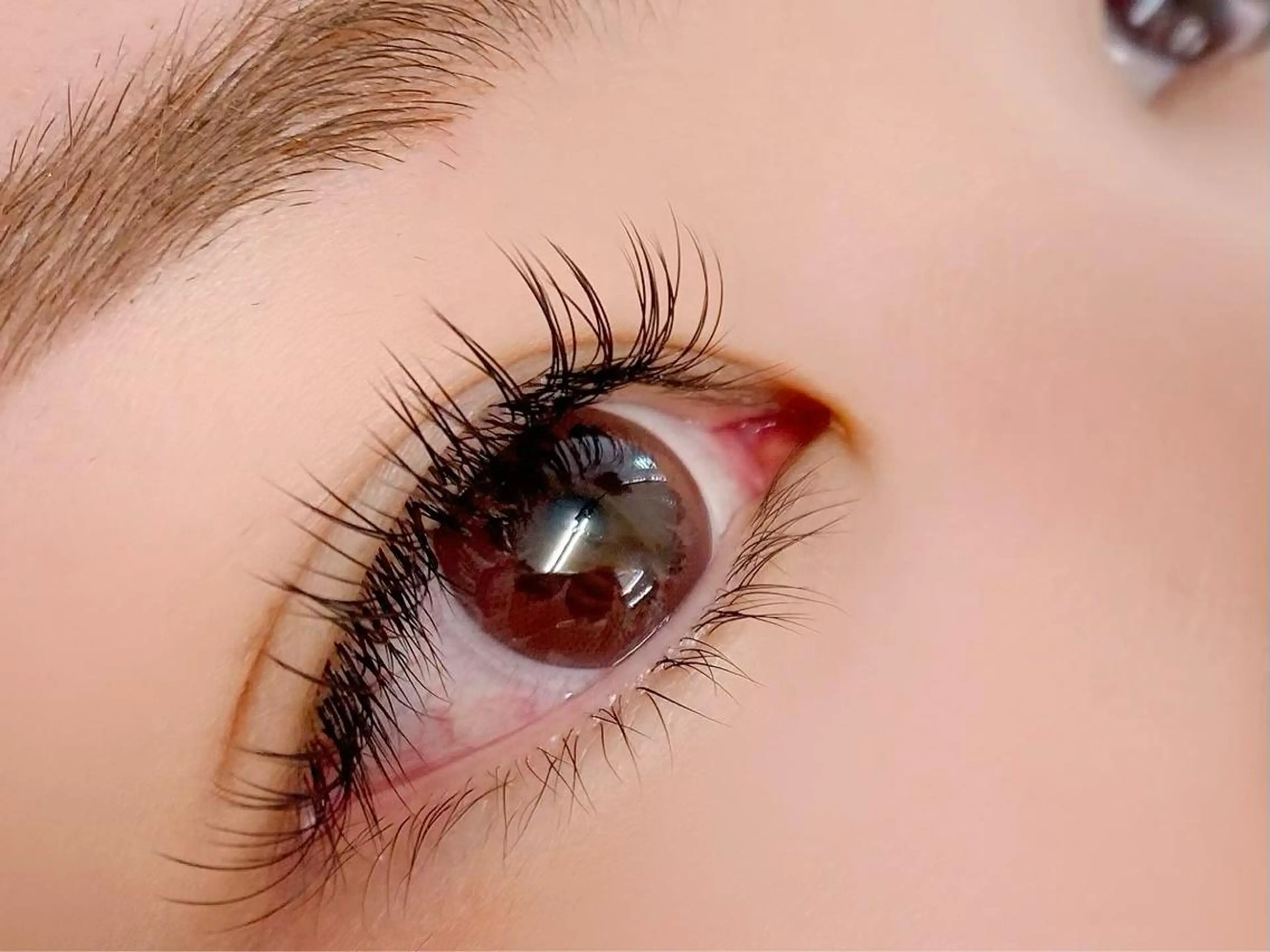 🧡オフ込◇フラットラッシュ付放題(120本迄)🧡次回予約で2回目も同料金(アイシャンプー 付)の写真