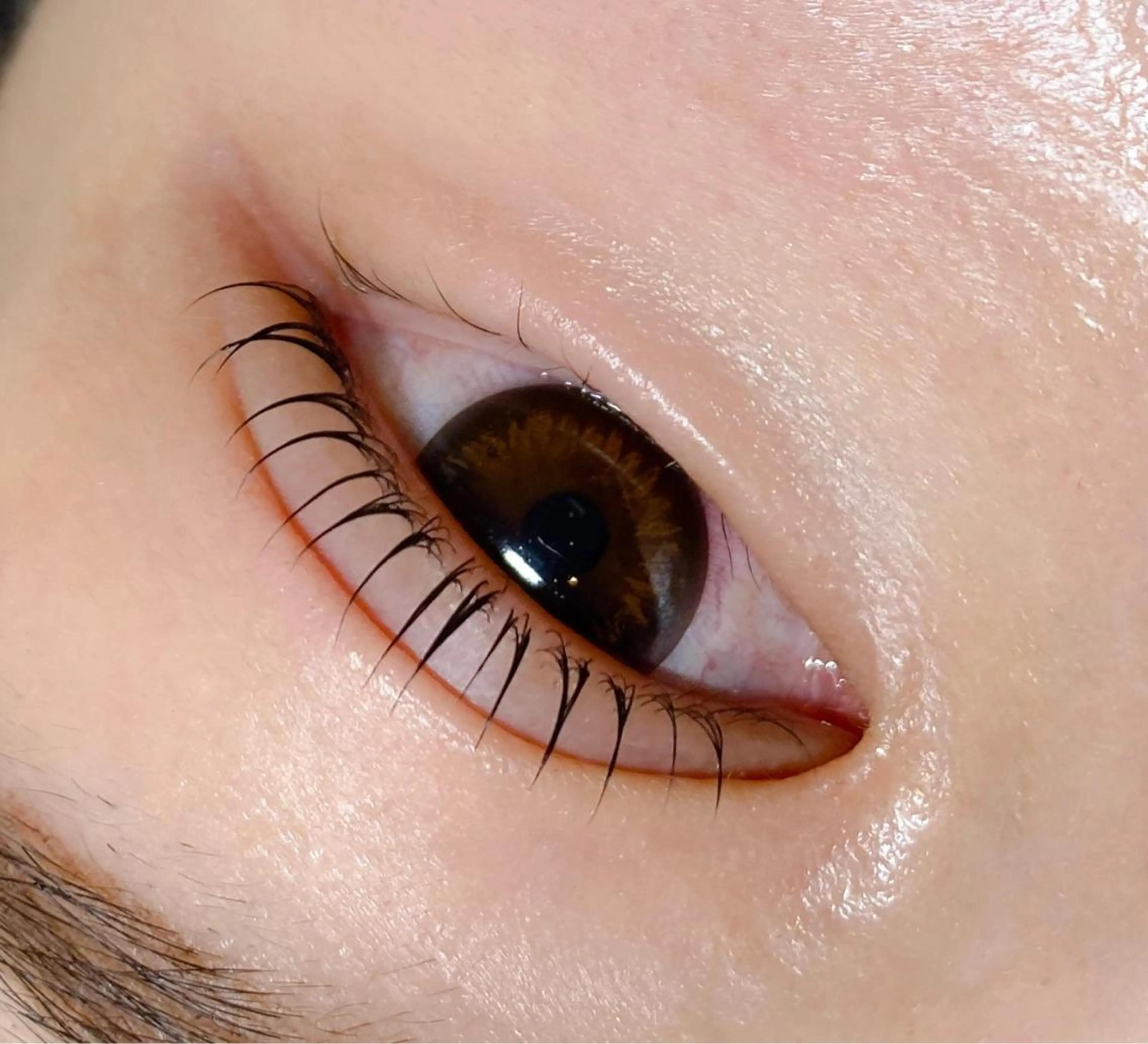 マツエク・マツパ まつ毛パーマまつエク 緑が丘徒歩1分/松田のマツエク・マツパデザイン