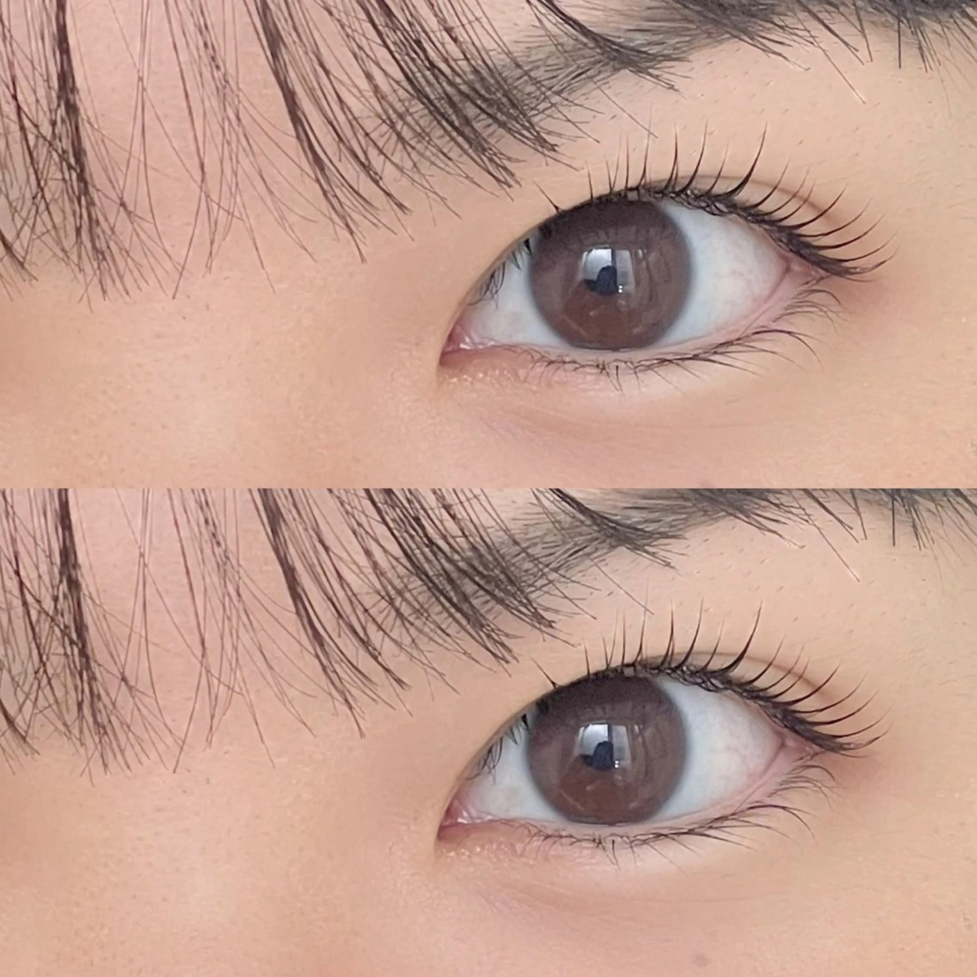 マツエク・マツパ Chihiro🕊️ 韓国パーマ/眉毛のマツエク・マツパデザイン