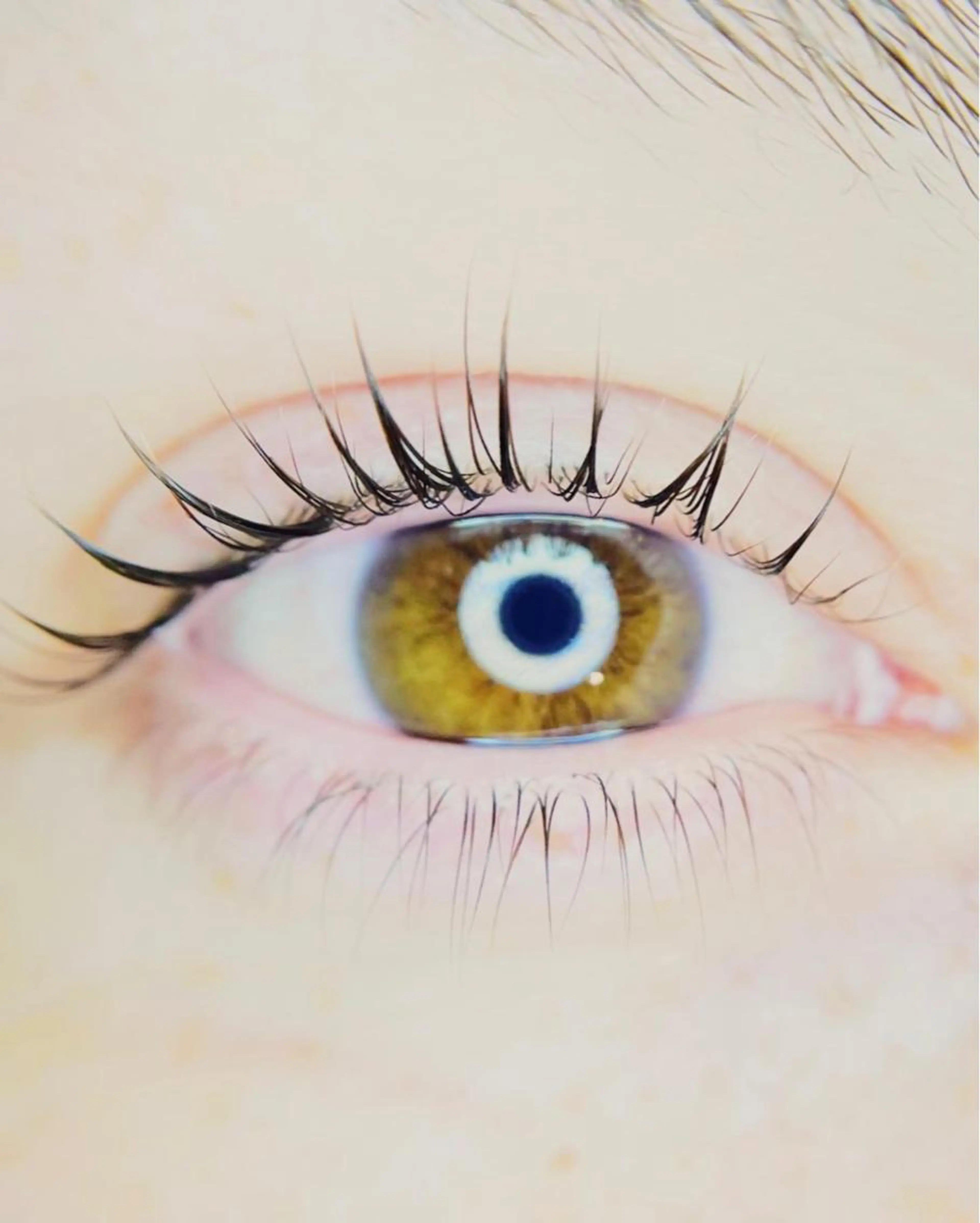 高浸透トリートメント付♪まつ毛パーマ　上下の写真