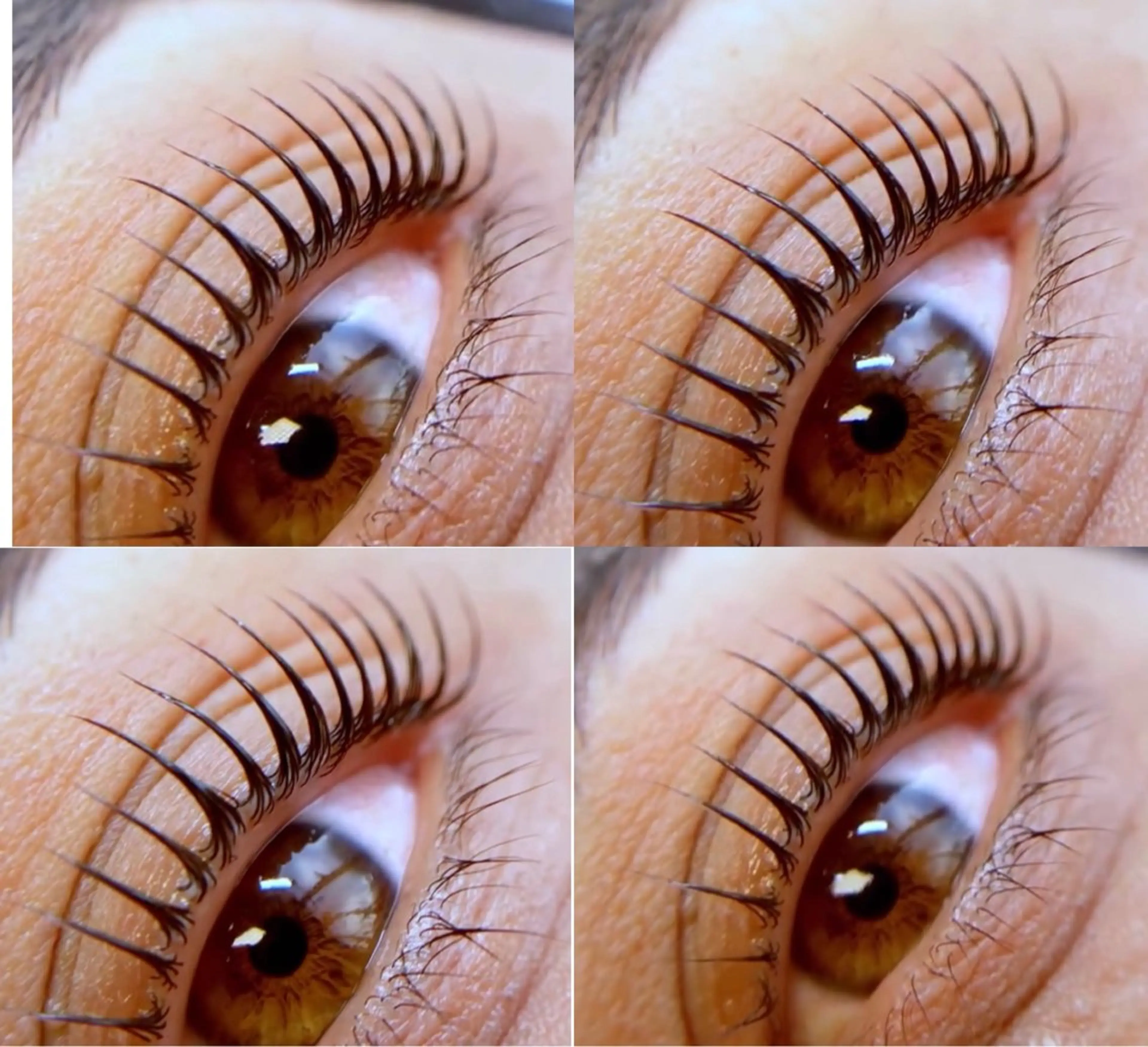 マツエク・マツパ Briller @odawaraのマツエク・マツパデザイン