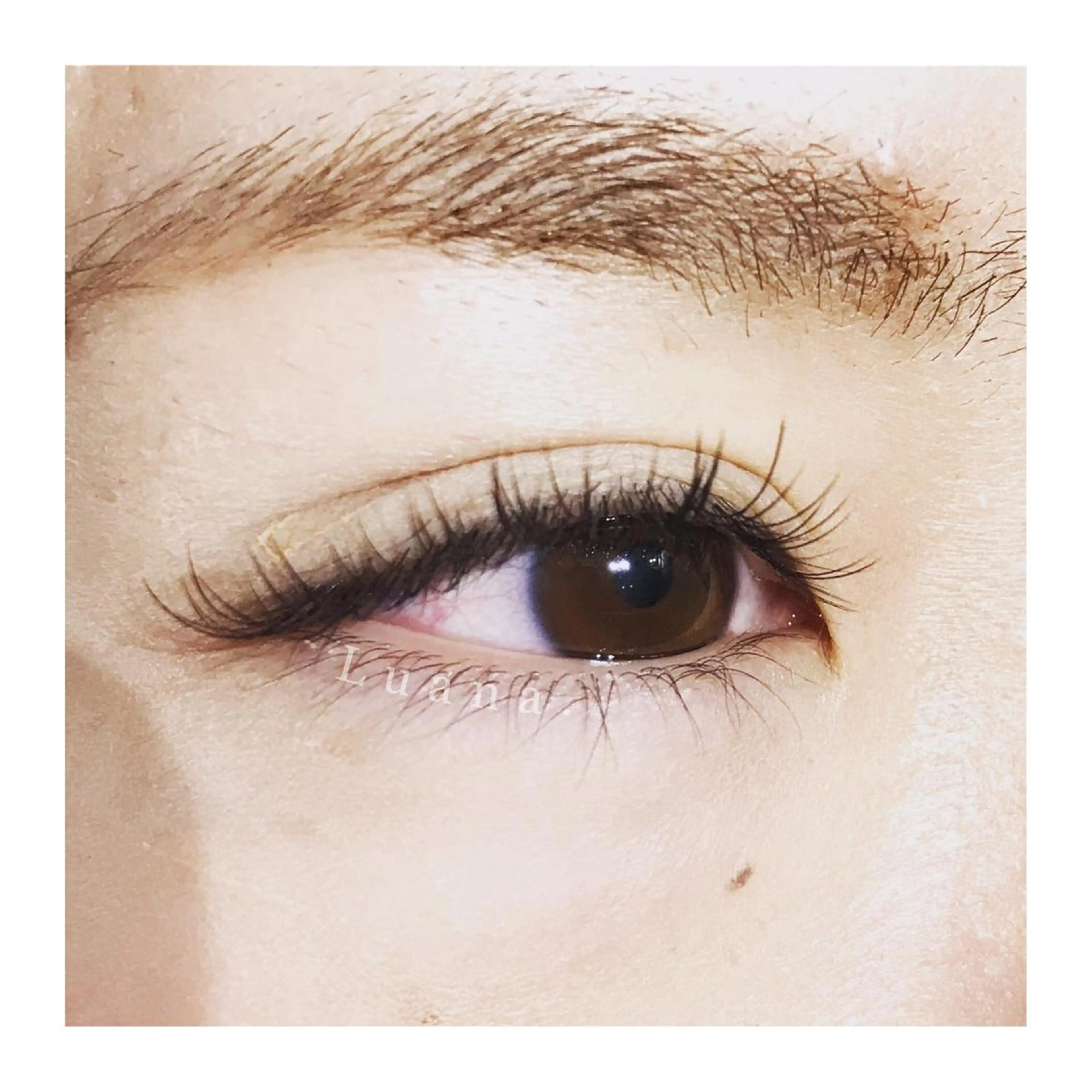 マツエク・マツパ フラットラッシュ にっくに ちひろの眉毛・アイブロウイメージ