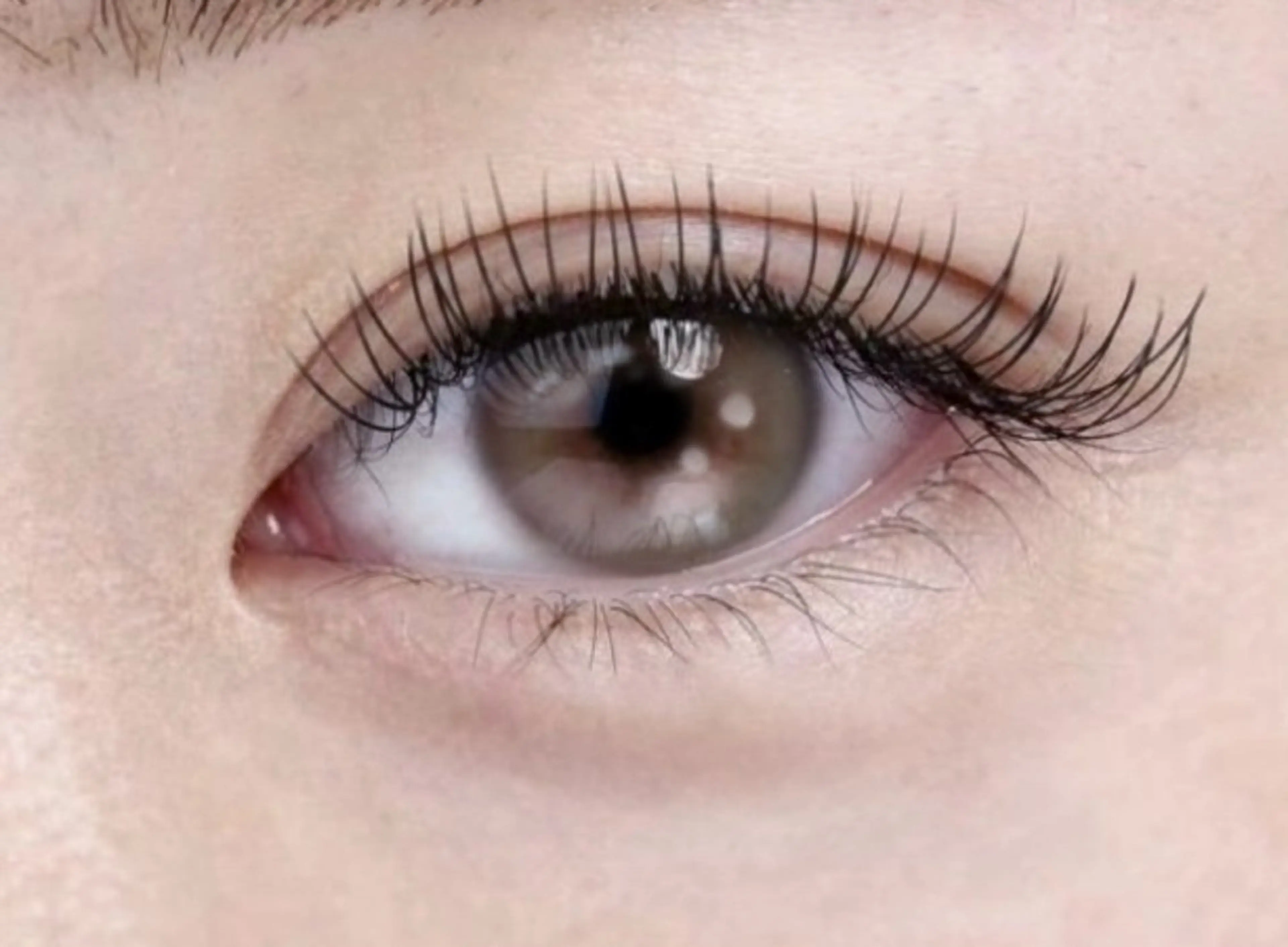 マツエク・マツパ ナチュラル セーブル 🩰Misaki🦢 🪞のマツエク・マツパデザイン