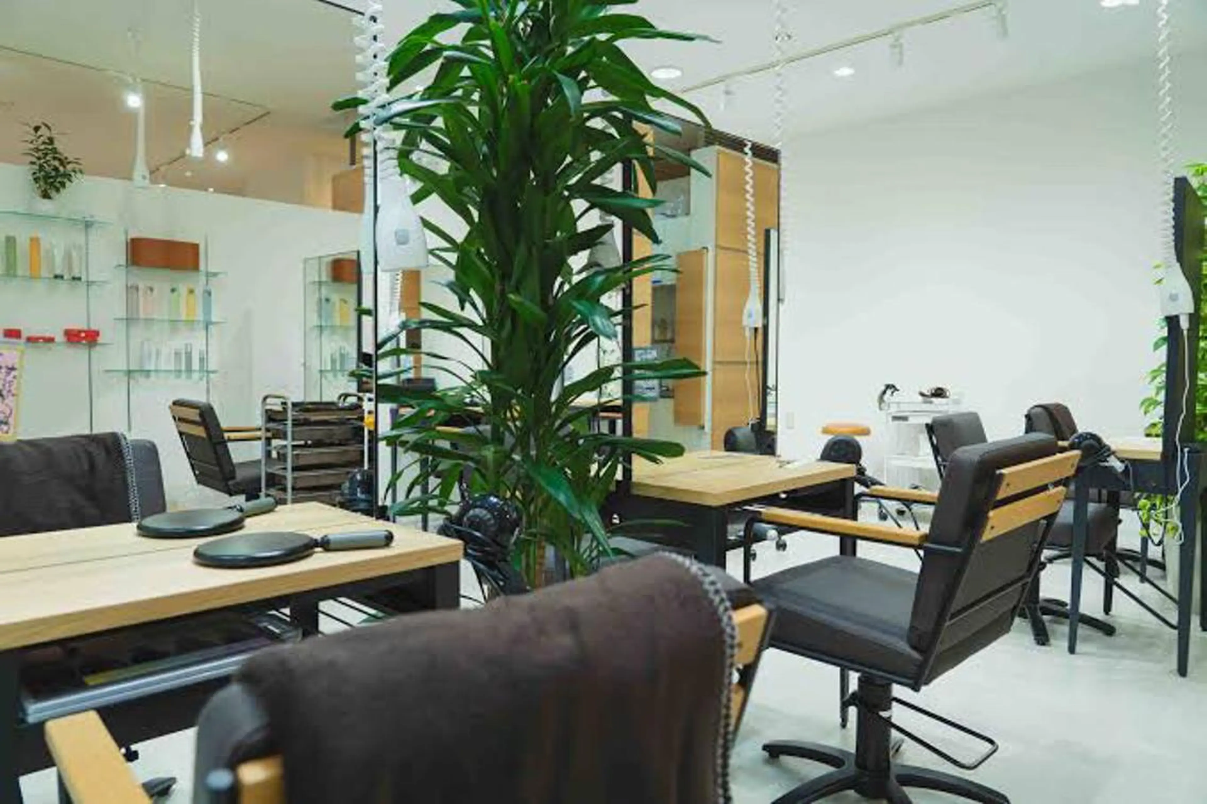 吉野椋哉 札幌大通りのその他イメージ