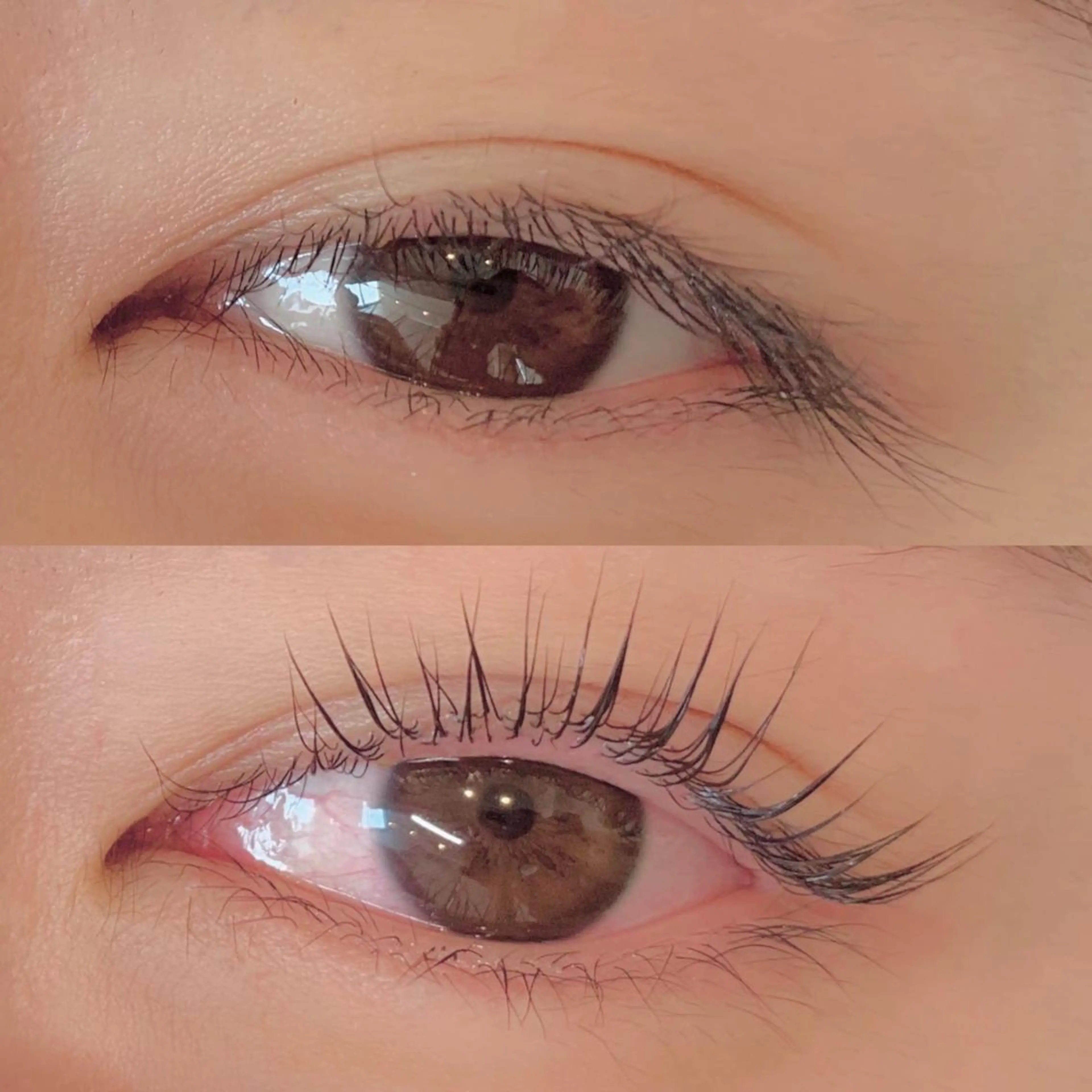 パリジェンヌラッシュの写真