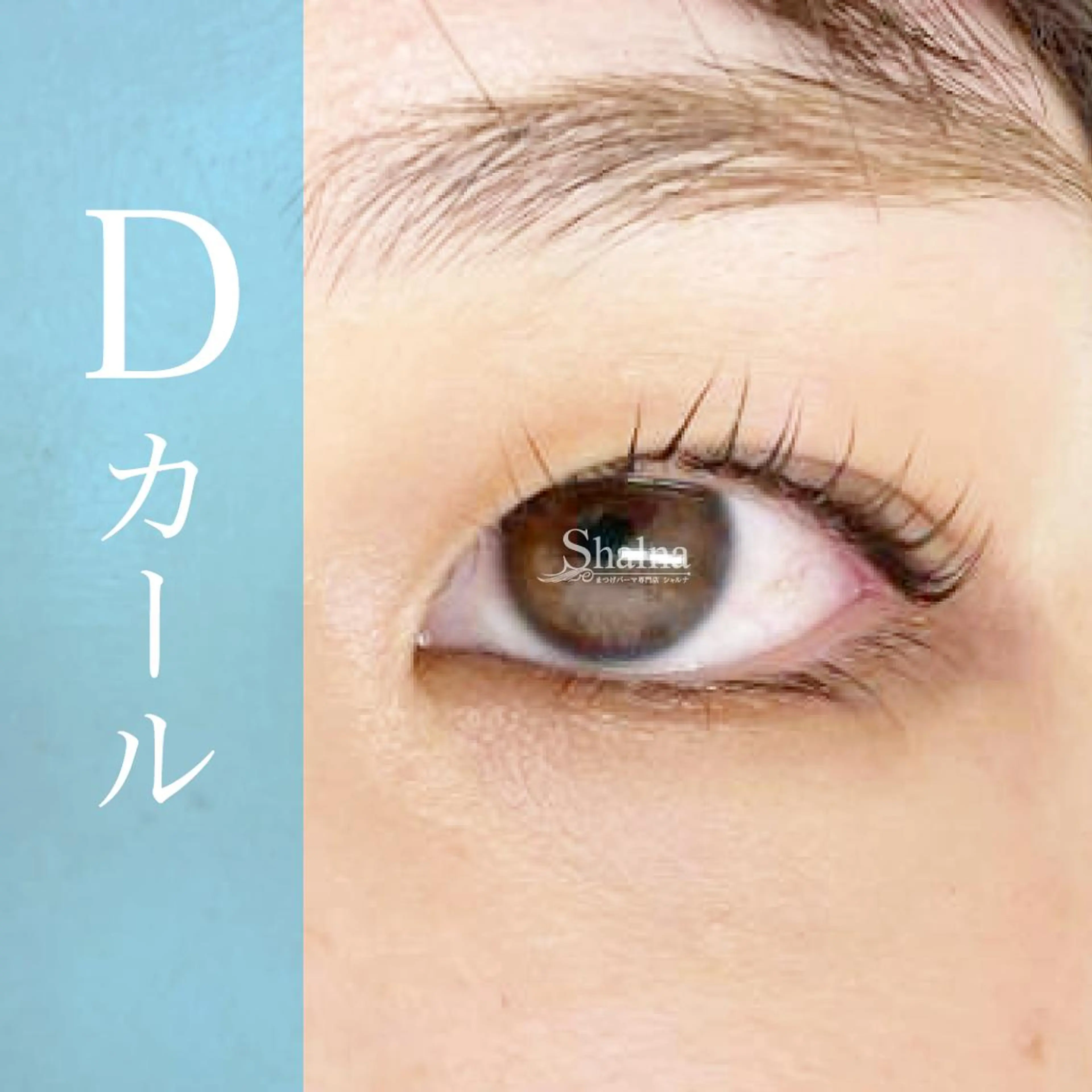 マツエク・マツパ Dカール まつげパーマ まつげパーマ専門店 シャルナ　柏店のマツエク・マツパデザイン