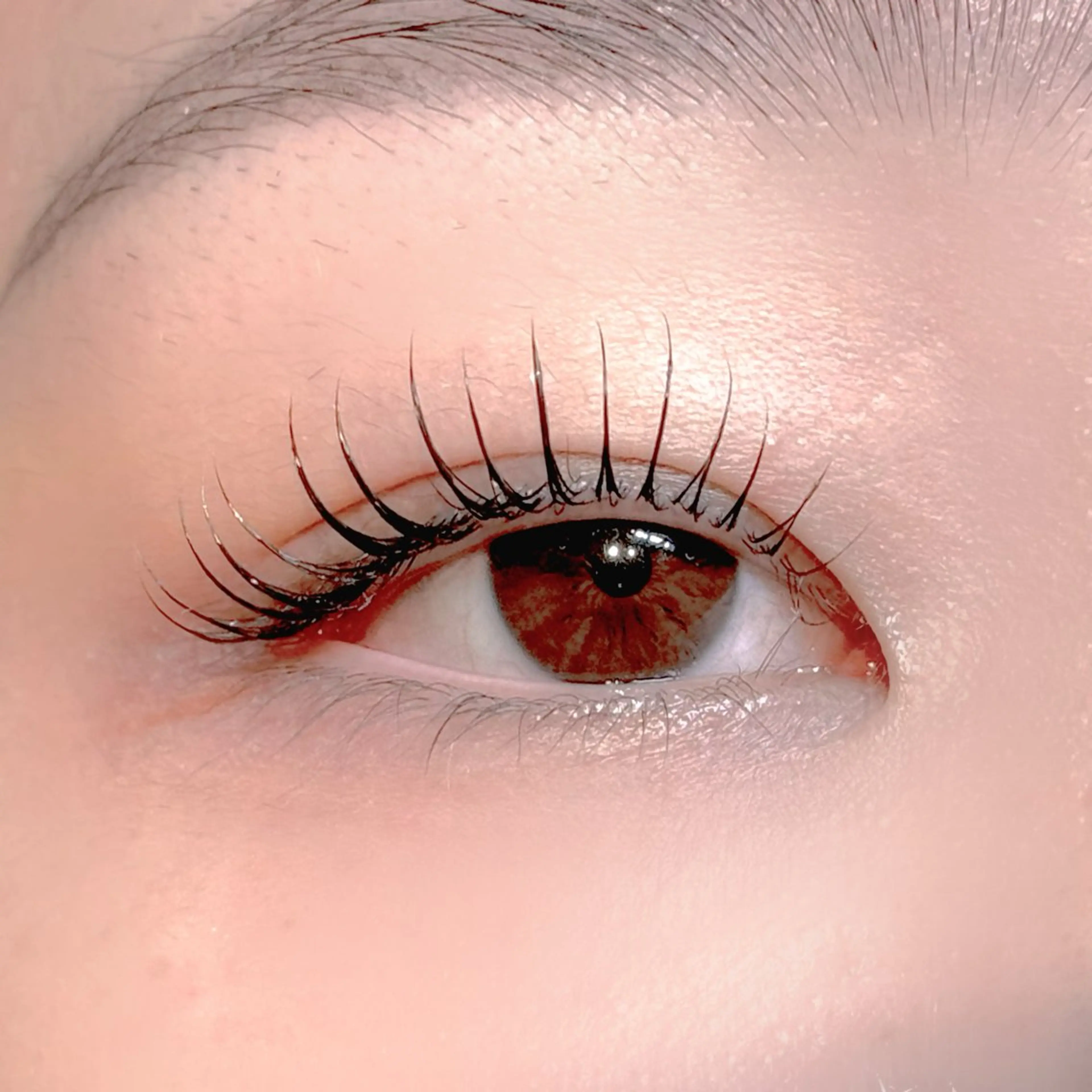 ❤️‍🔥当日限定❤️‍🔥まつげパーマ(パリジェンヌ・メーテルラッシュ変更＋500円)の写真