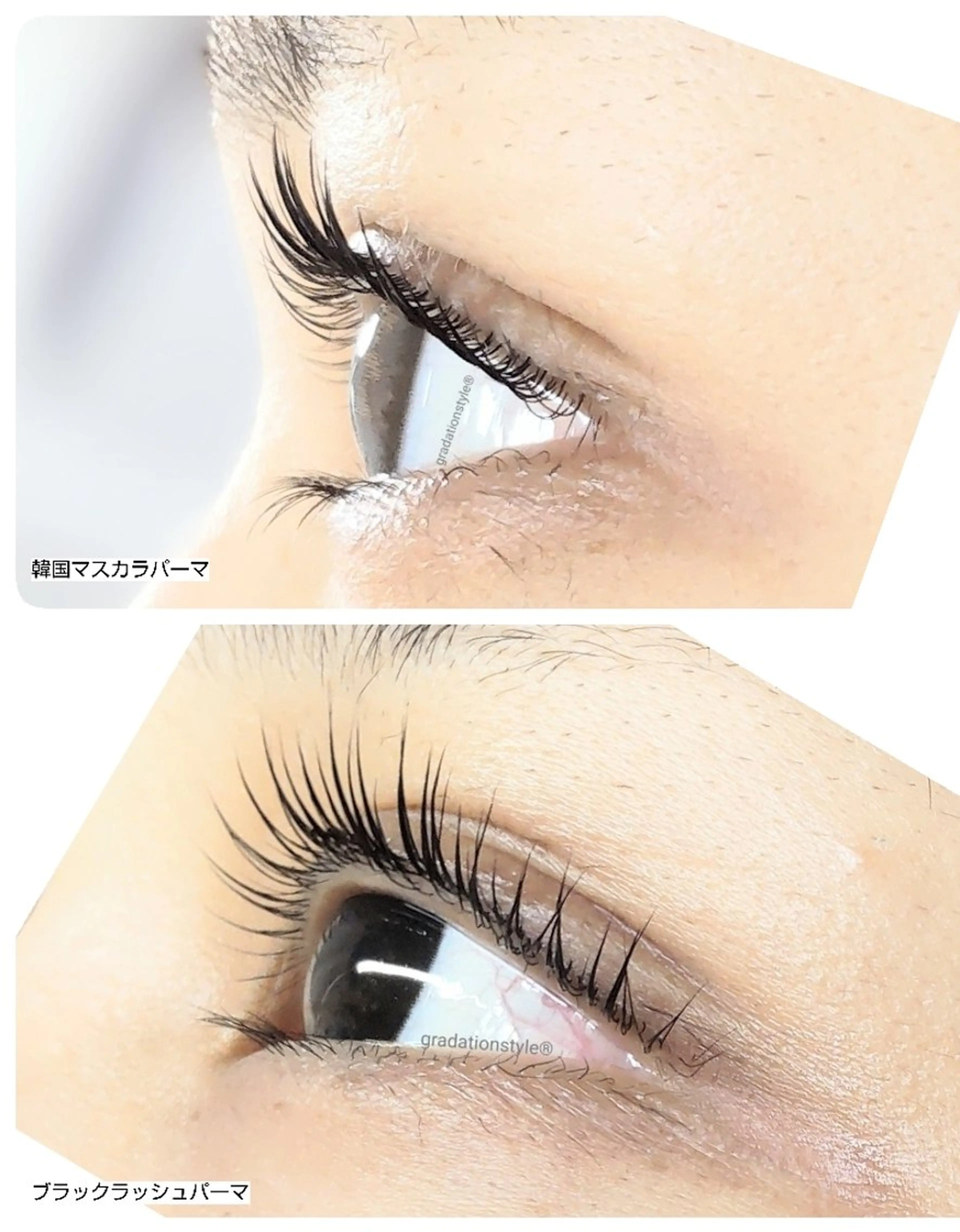 マツエク・マツパ 🎼グラデーション スタイル札幌♫*⁠✧のマツエク・マツパデザイン