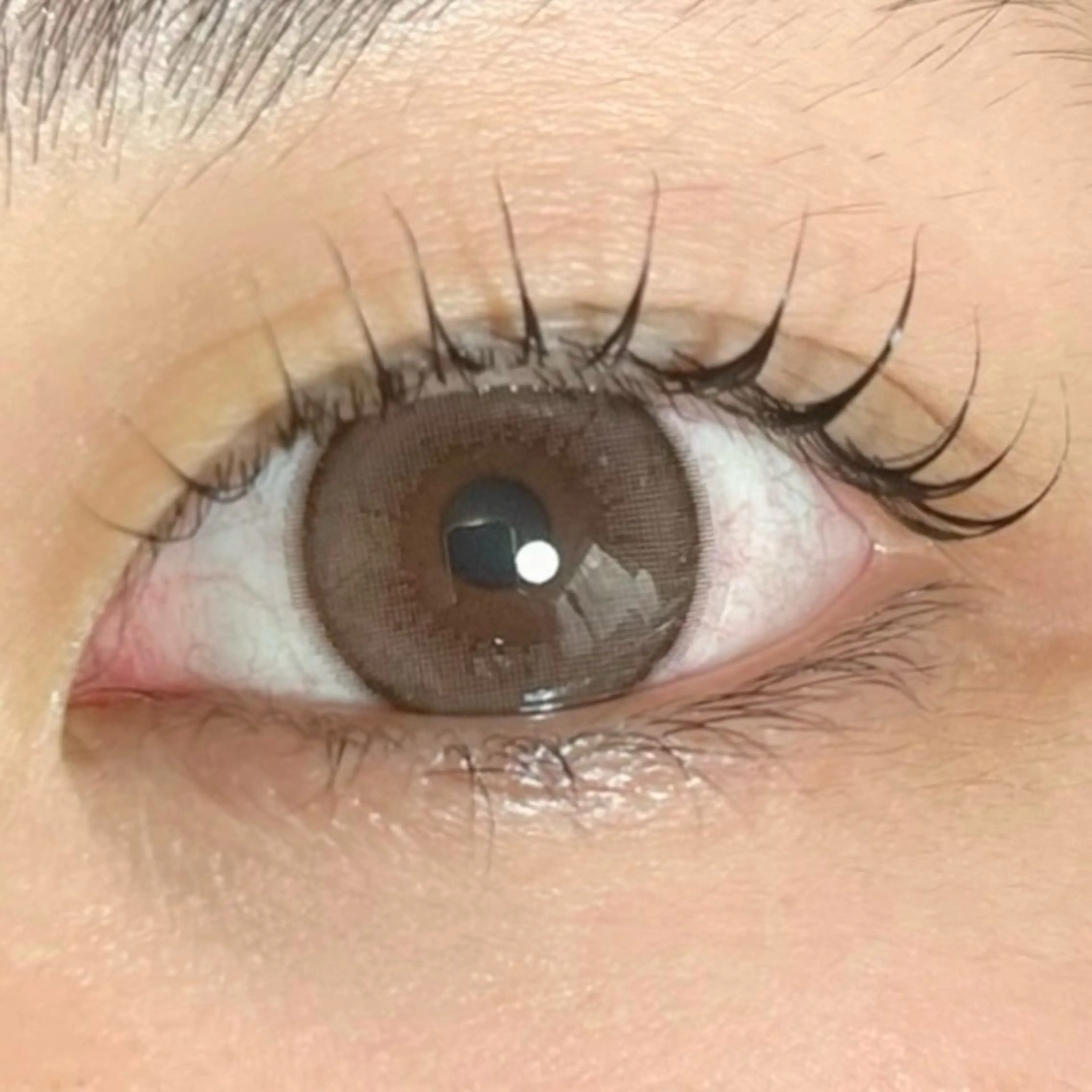 マツエク・マツパ パリジェンヌラッシュリフト まつげパーマ 🧸 Emiri🫧のマツエク・マツパデザイン