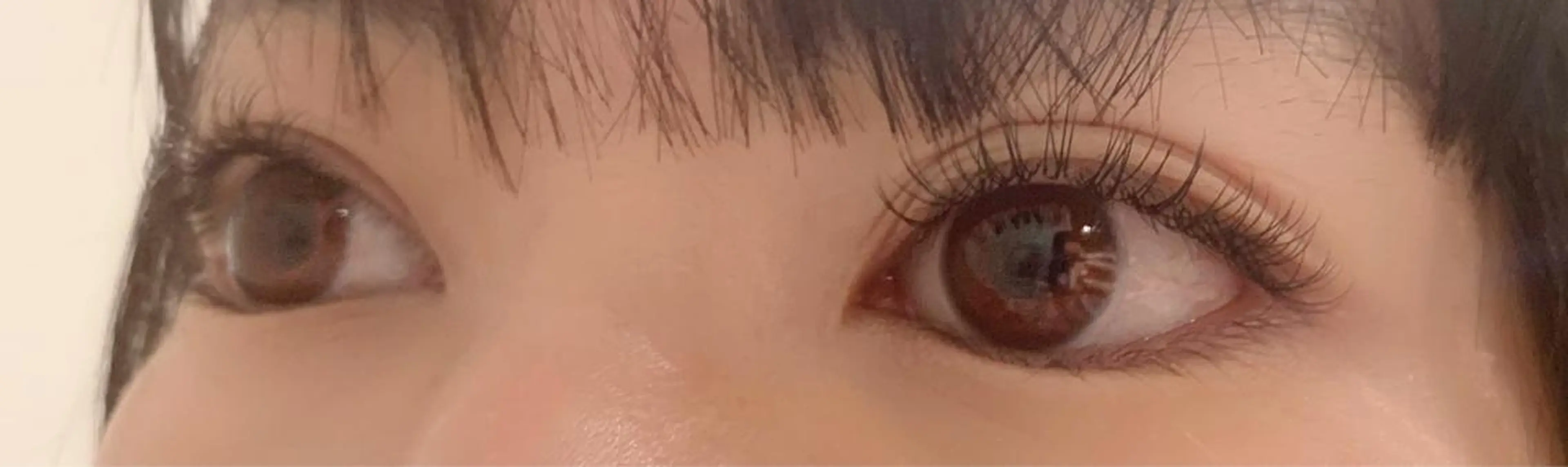 マツエク・マツパ フラットラッシュ elua eyelashの眉毛・アイブロウイメージ
