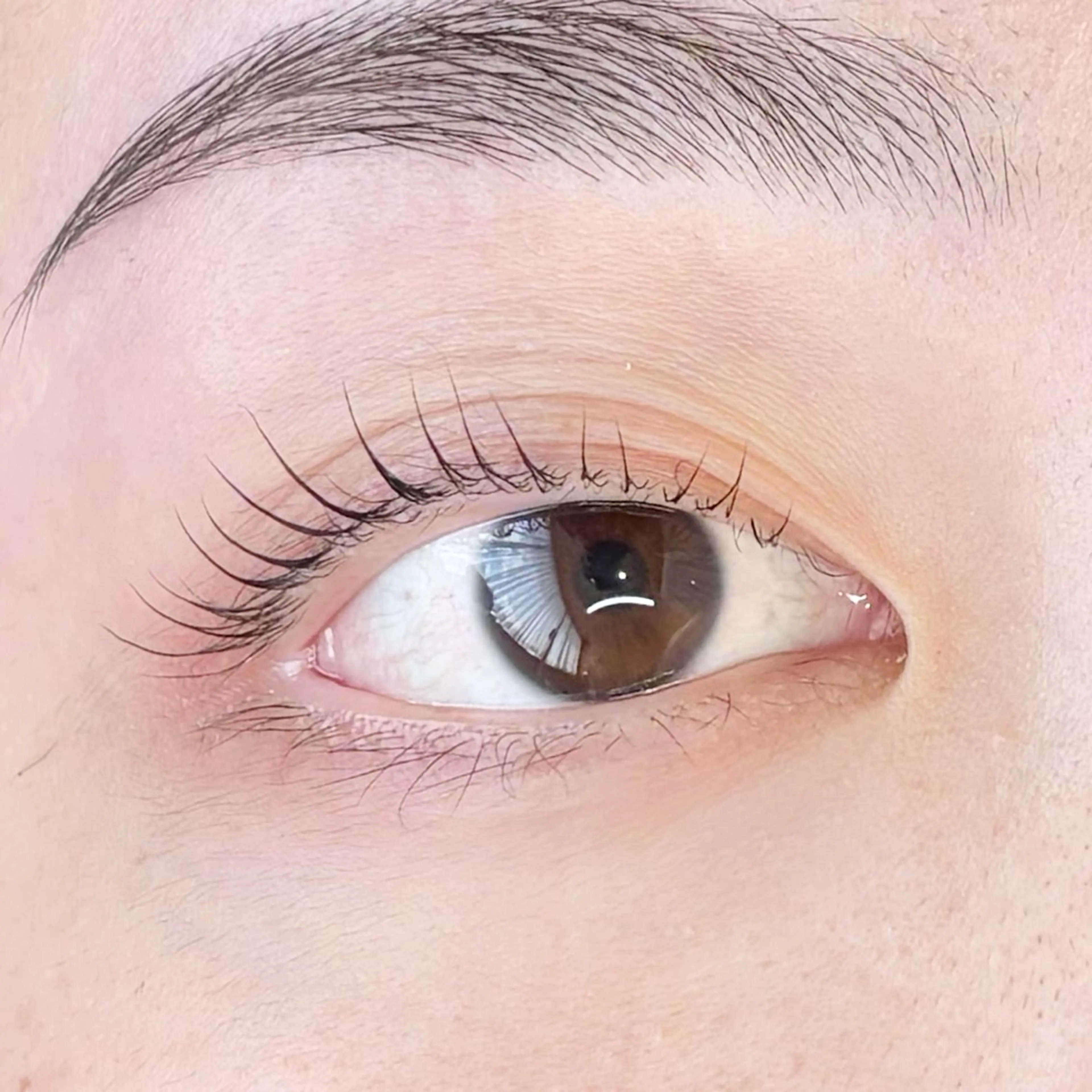マツエク・マツパ マツパ eyelash lienのマツエク・マツパデザイン