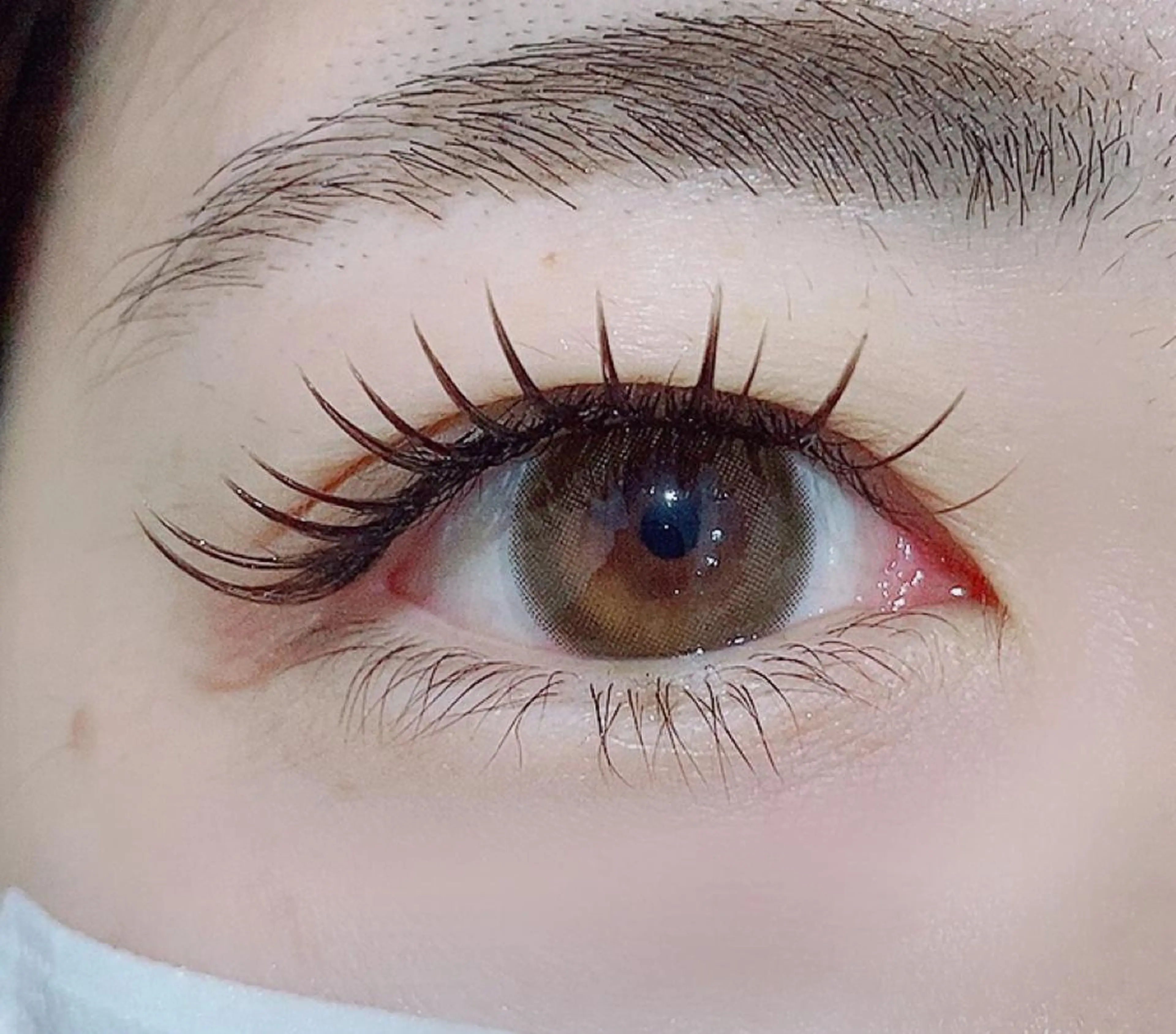 ãããšã¯ã»ããã ææãŸã€æ¯ RIGOLETTO ð€åææè¯ã®ãããšã¯ã»ããããã¶ã€ã³