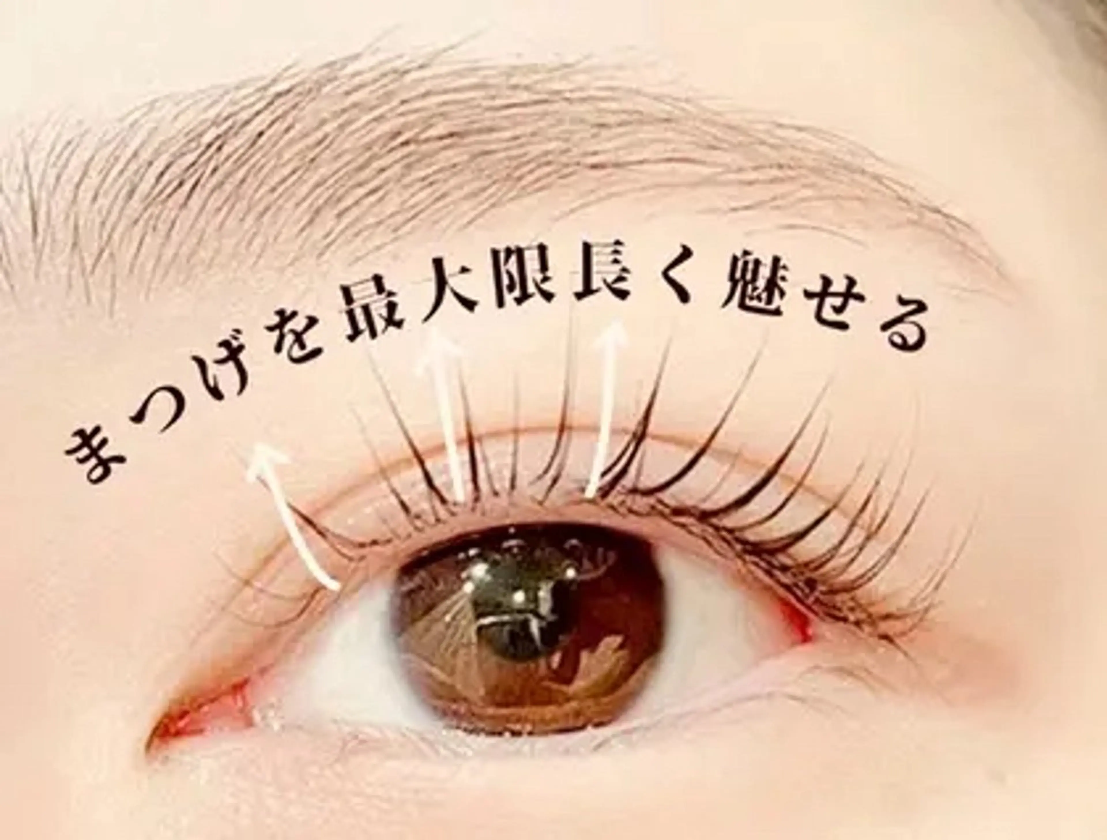 🍀ご新規様限定🍀当日予約🆗パリジェンヌラッシュリフトの写真