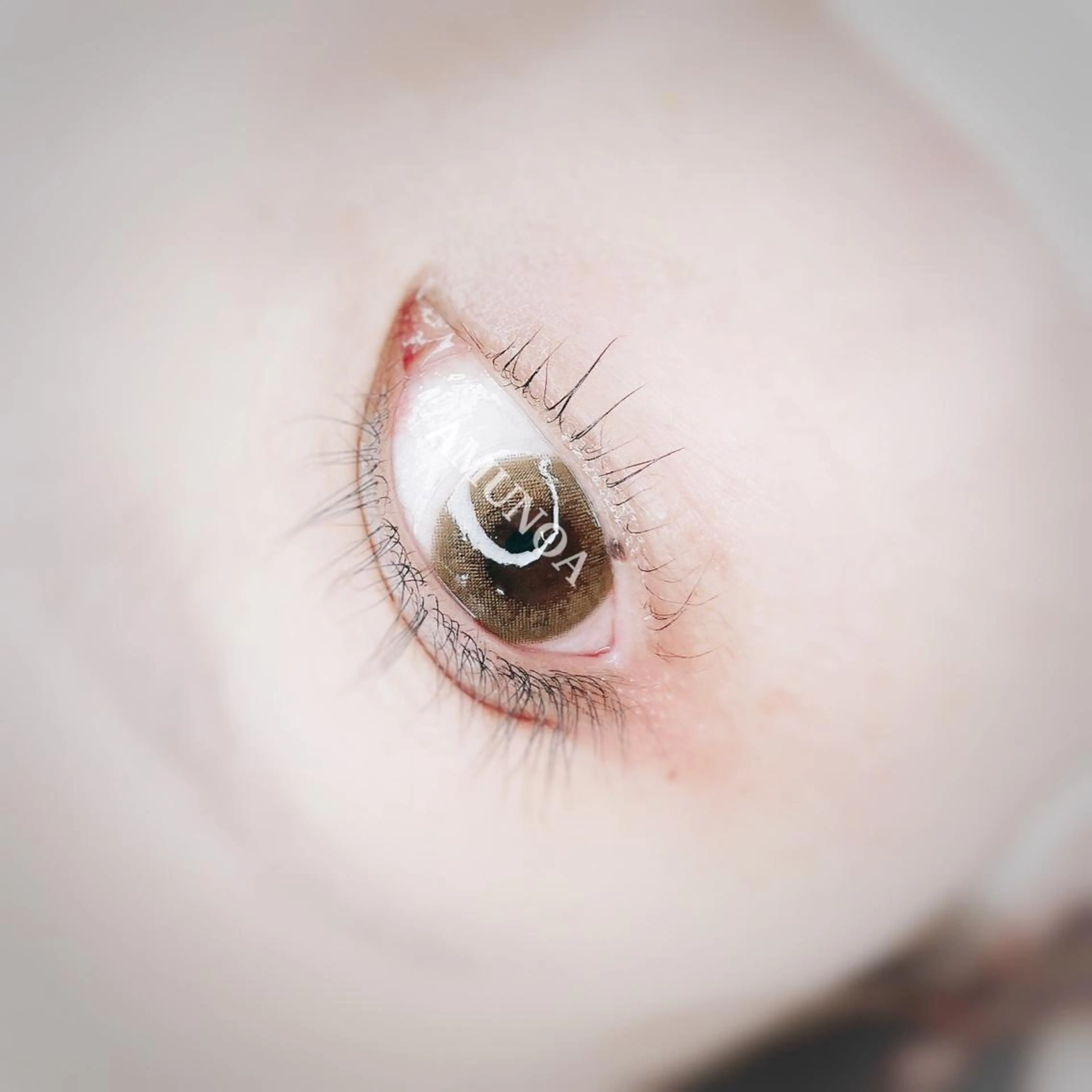 マツエク・マツパ 一重×まつ毛パーマ マツパ 美容室 AMUNOAのマツエク・マツパデザイン