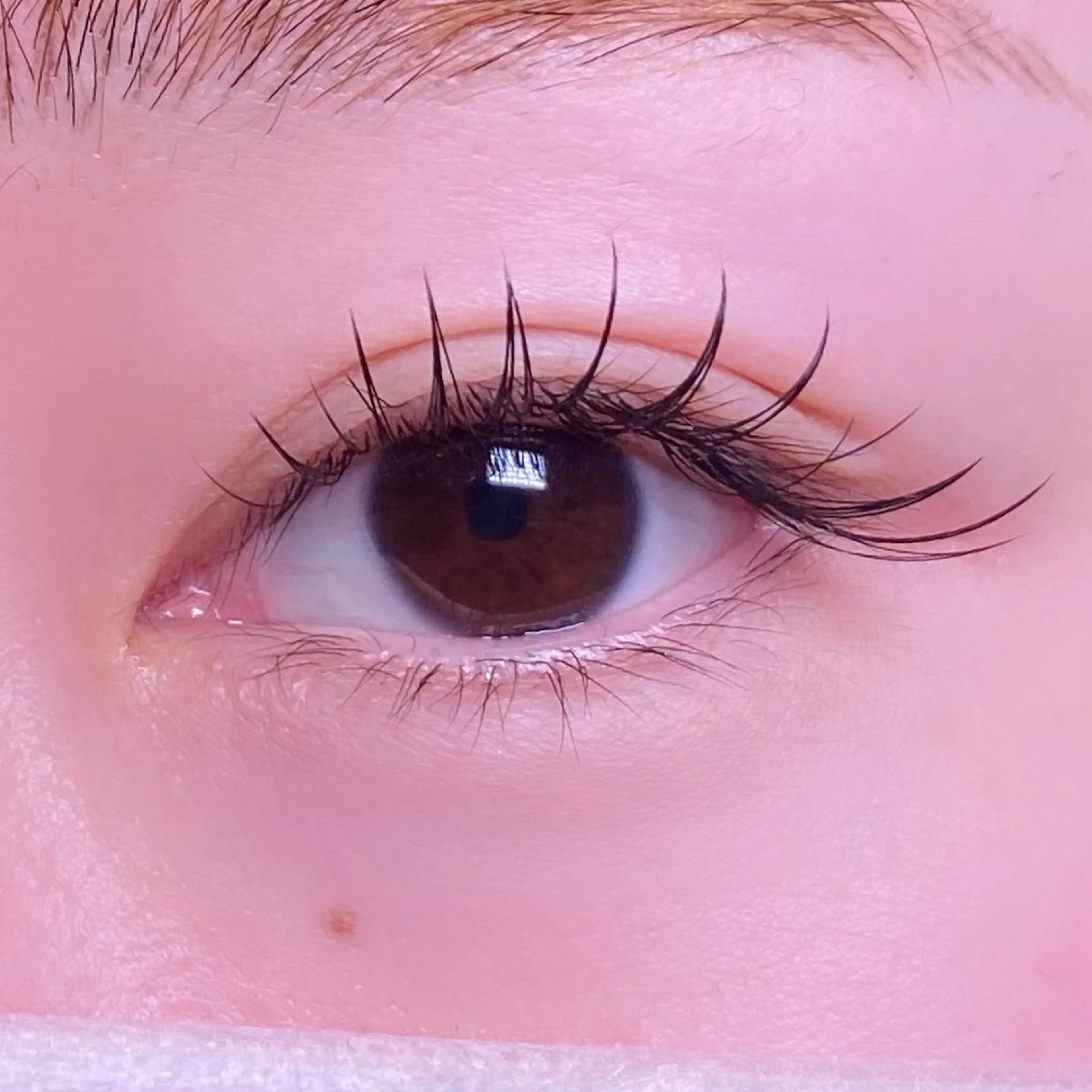 マツエク・マツパ eyelash mieuxのマツエク・マツパデザイン