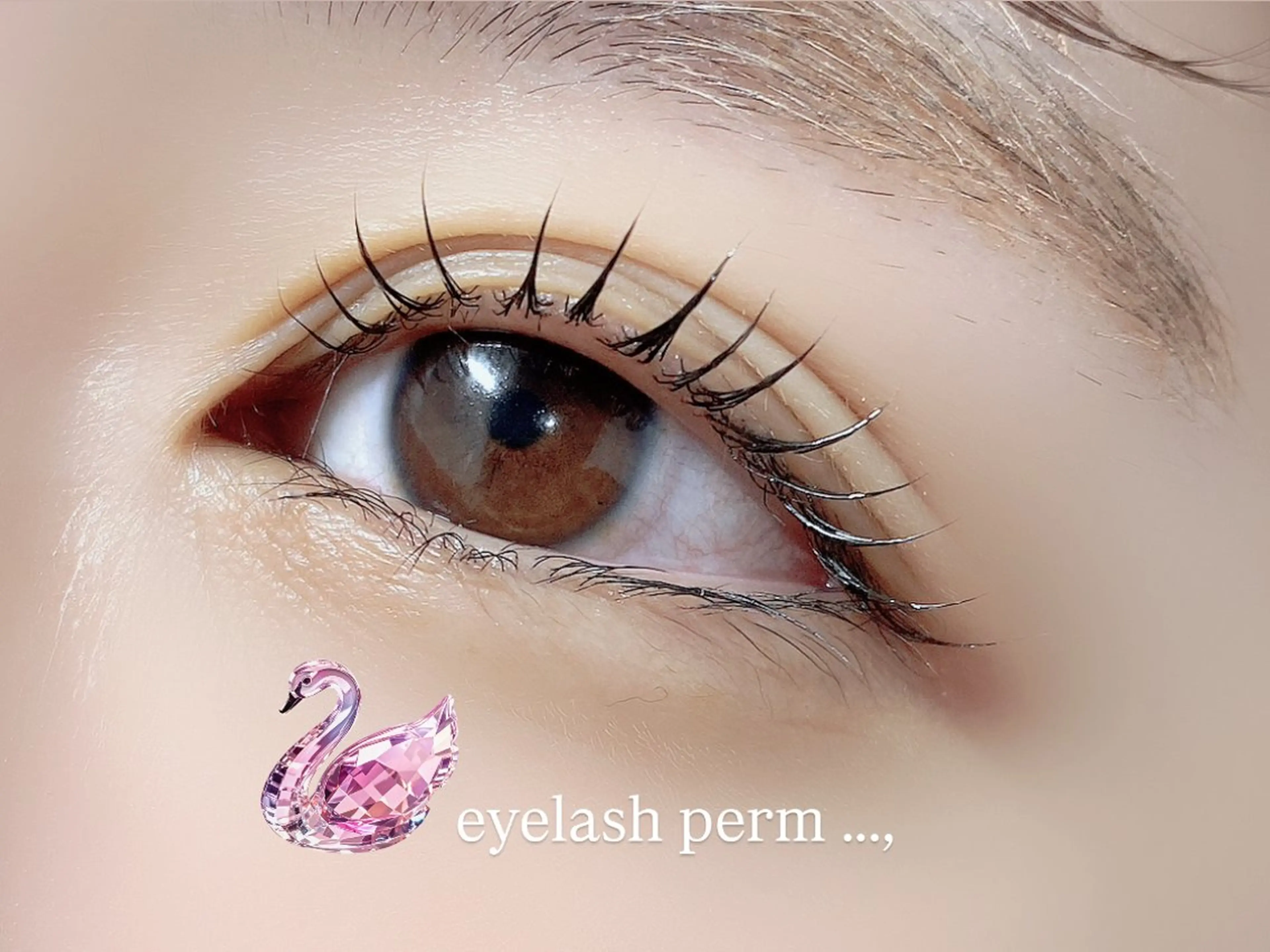 マツエク・マツパ eye 梨花のマツエク・マツパデザイン