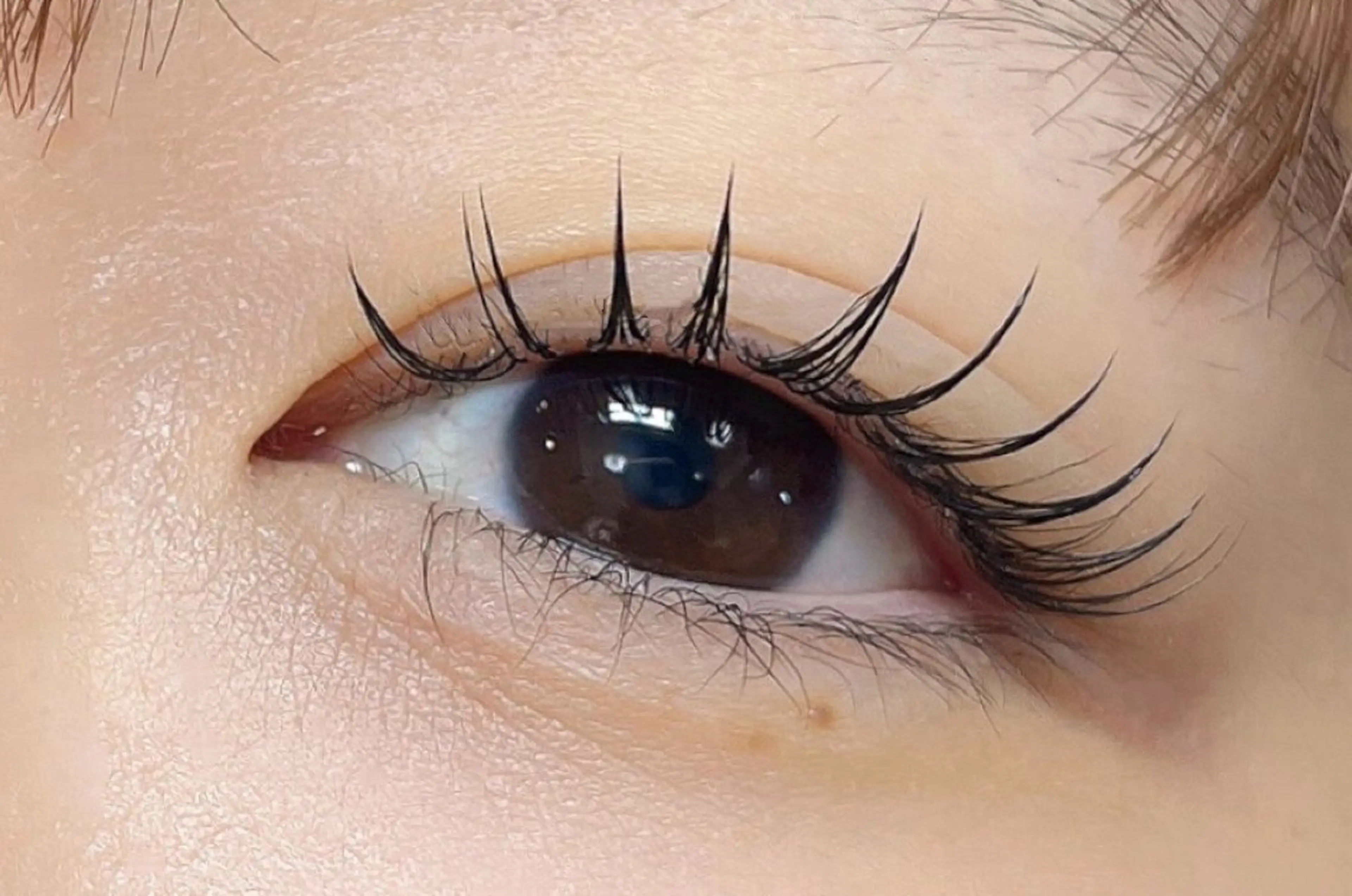 🧚‍♀️パリエク⭐️パリジェンヌ➕フラットラッシュ80本🧚‍♀️の写真