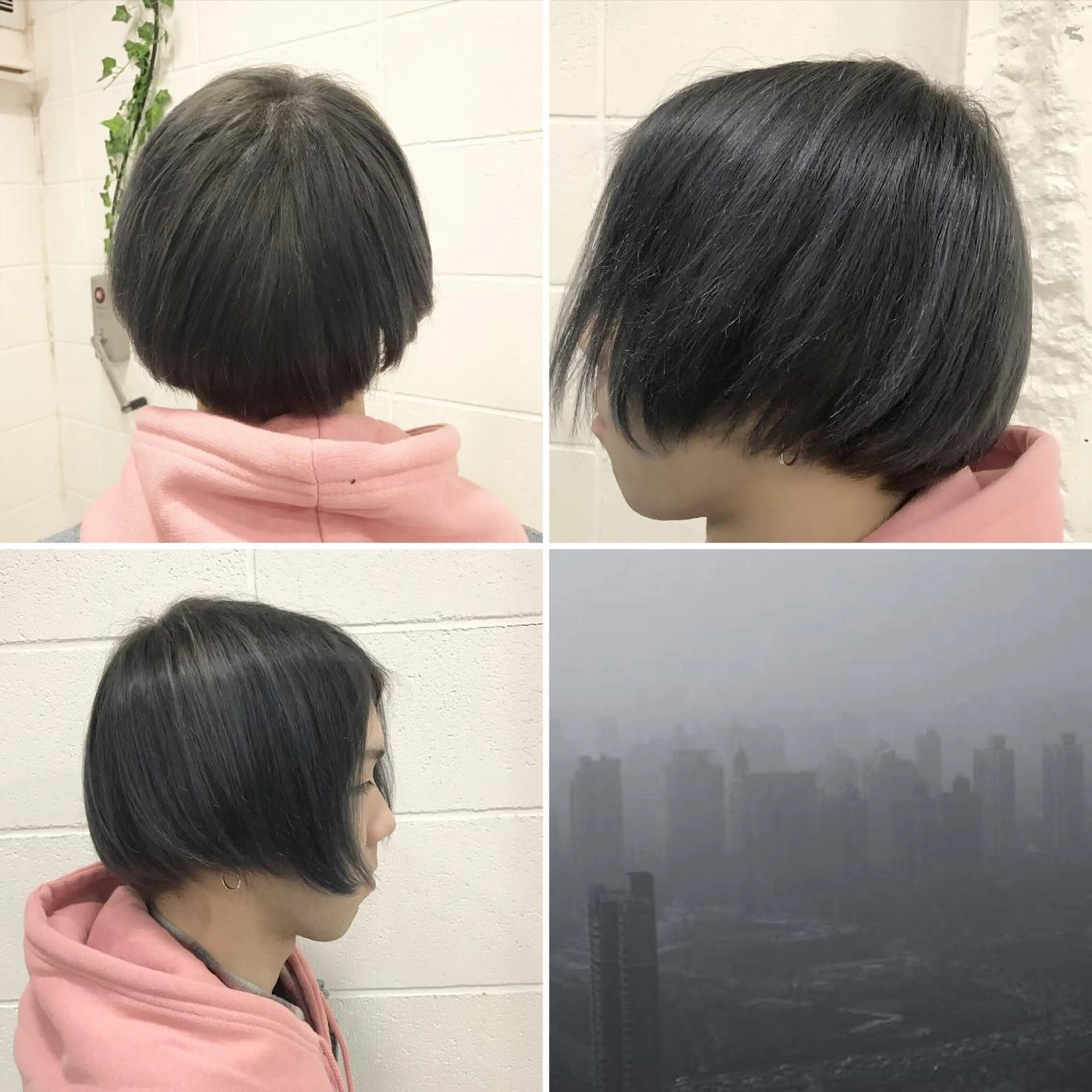 ミディアム カラー メンズ ヘアカラー トリートメント 🌈推し色派手髪 ハイトーンShinのヘアスタイル