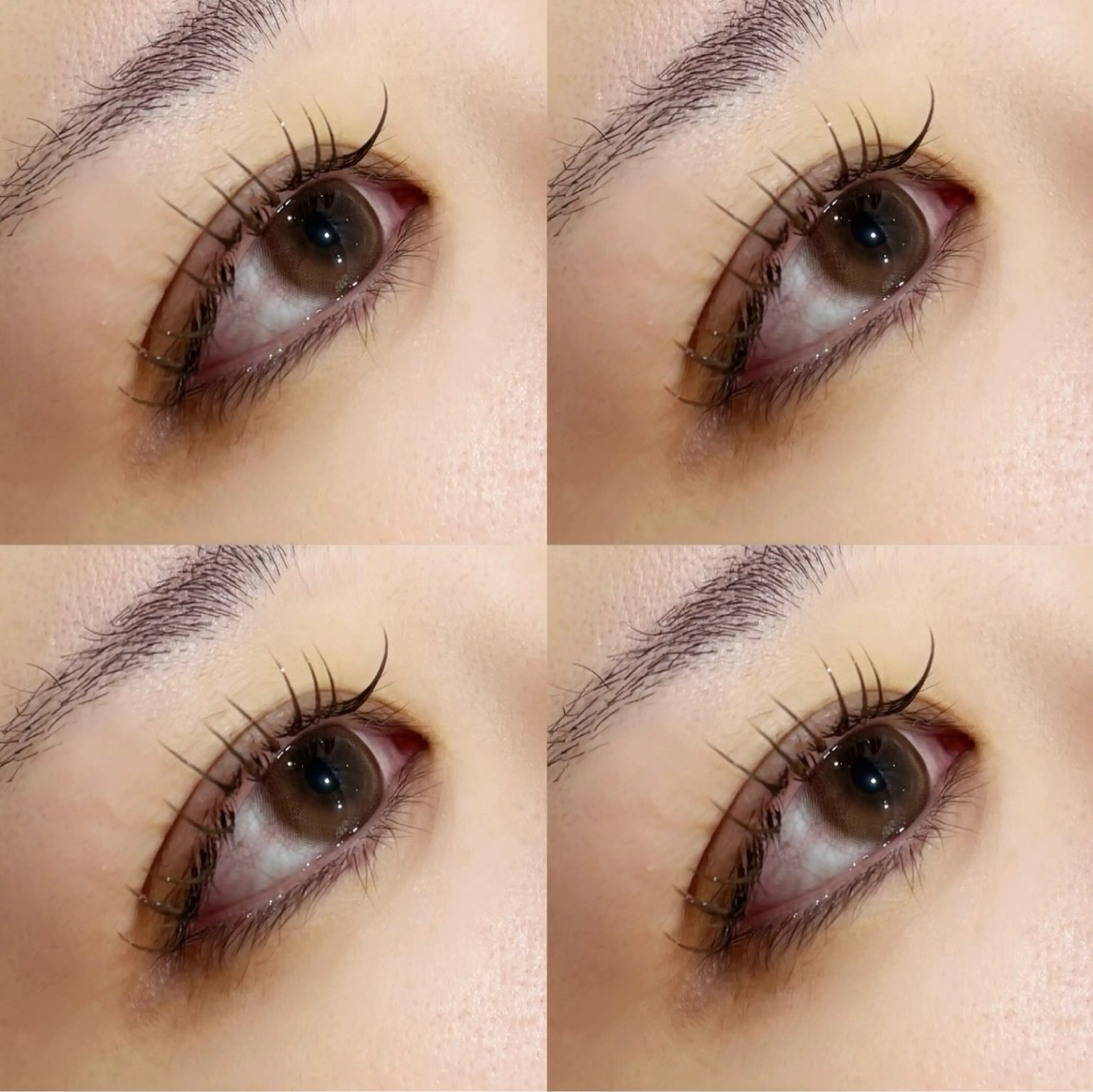 【ミニモ限定】✳︎フラットラッシュ✳︎180本迄 ※ブラウンエクステ変更可🌼の写真