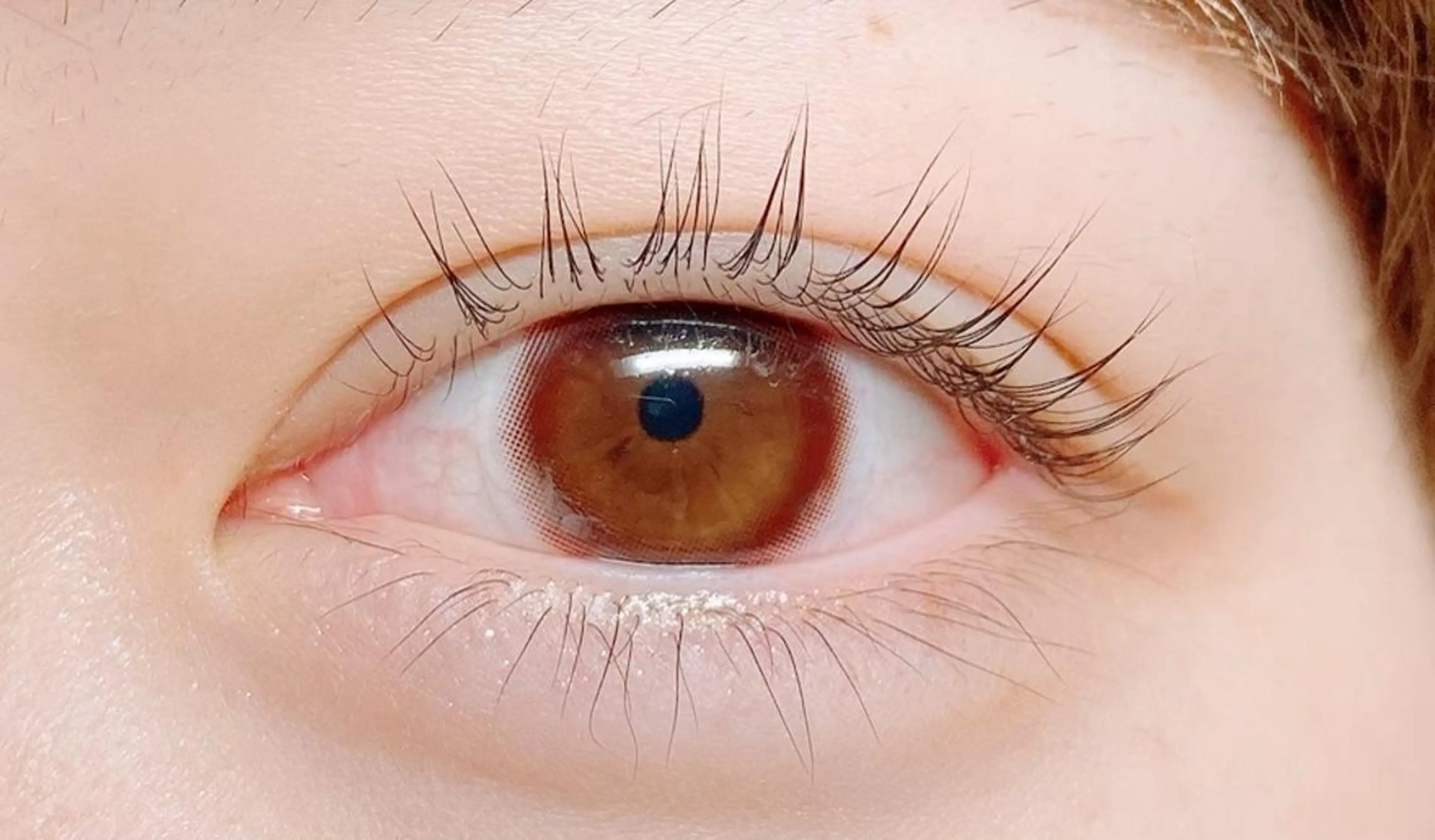 マツエク・マツパ パリジェンヌラッシュリフト マツパ 稲野🌙OLIVIA 池袋🌙代表のマツエク・マツパデザイン