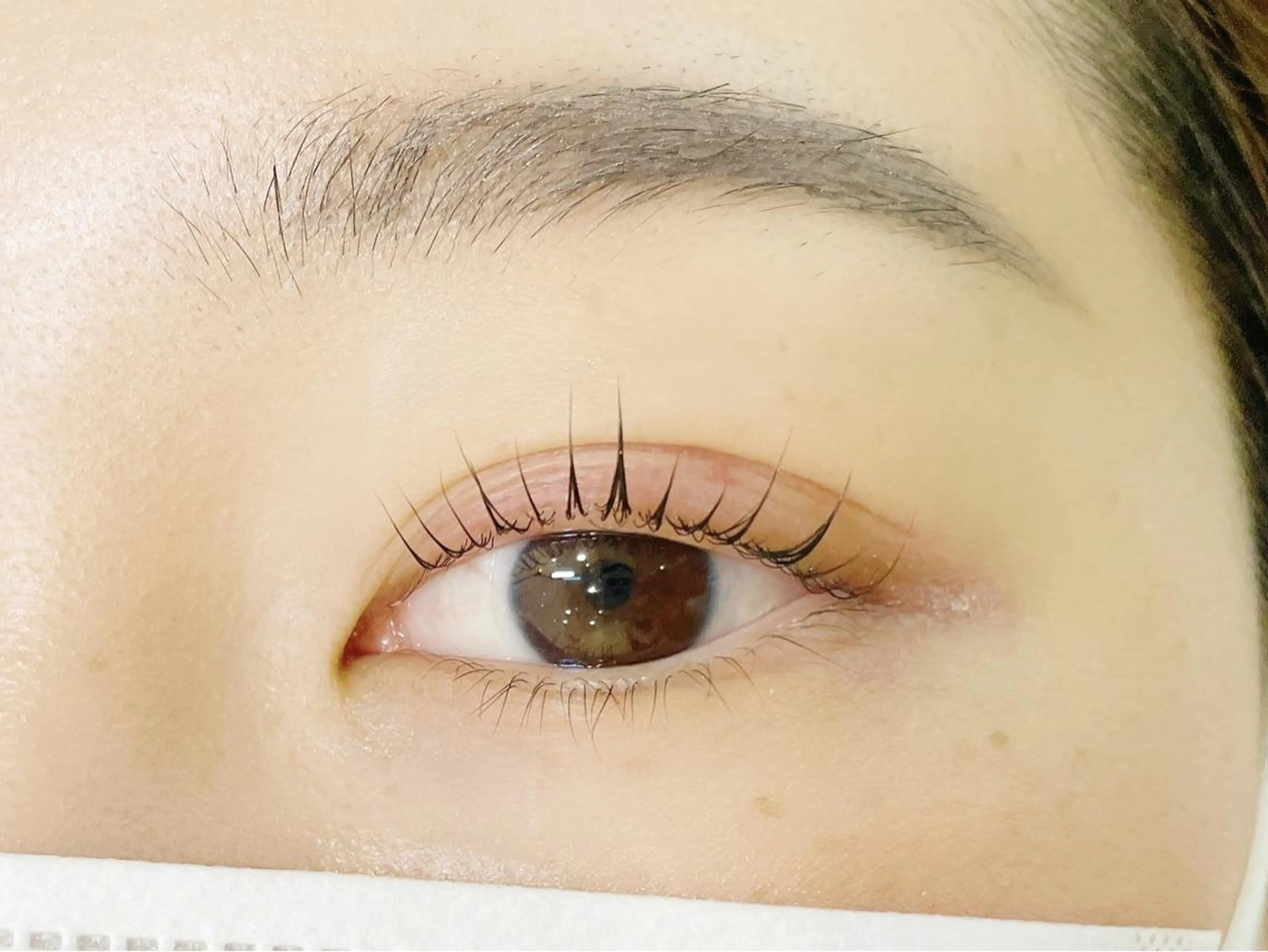 【 貴方のなりたい瞳を叶える 🎶】パーソナルラッシュリフトの写真