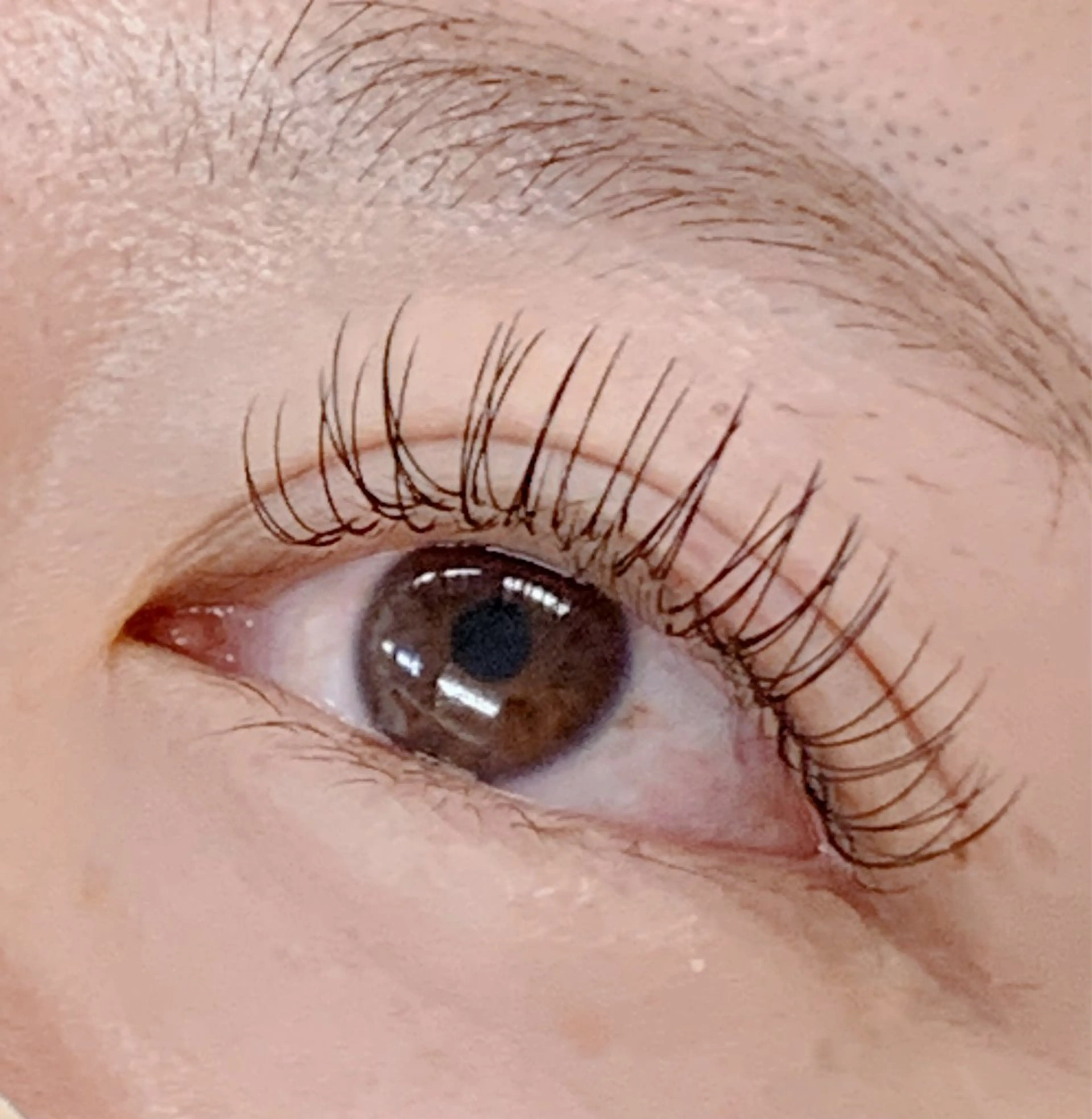 【オフ無料】LEDエクステ120本✨3回までご利用いただけます!の写真