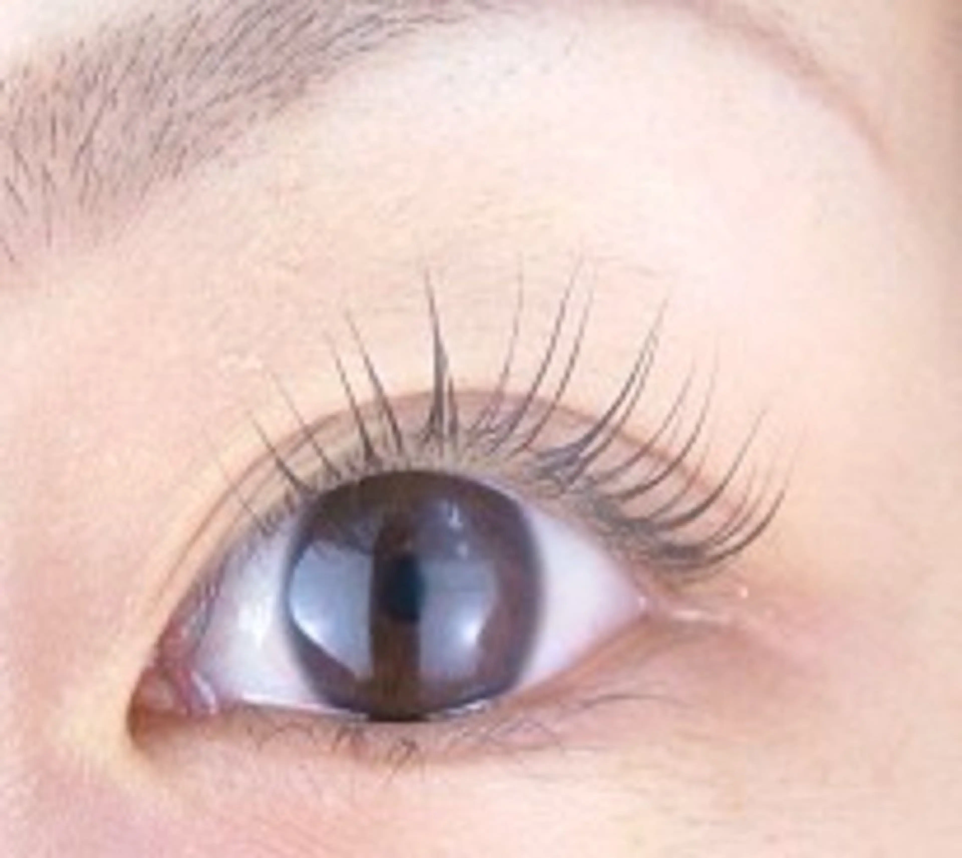 まつ毛パーマ🩵🪽(初回)の写真