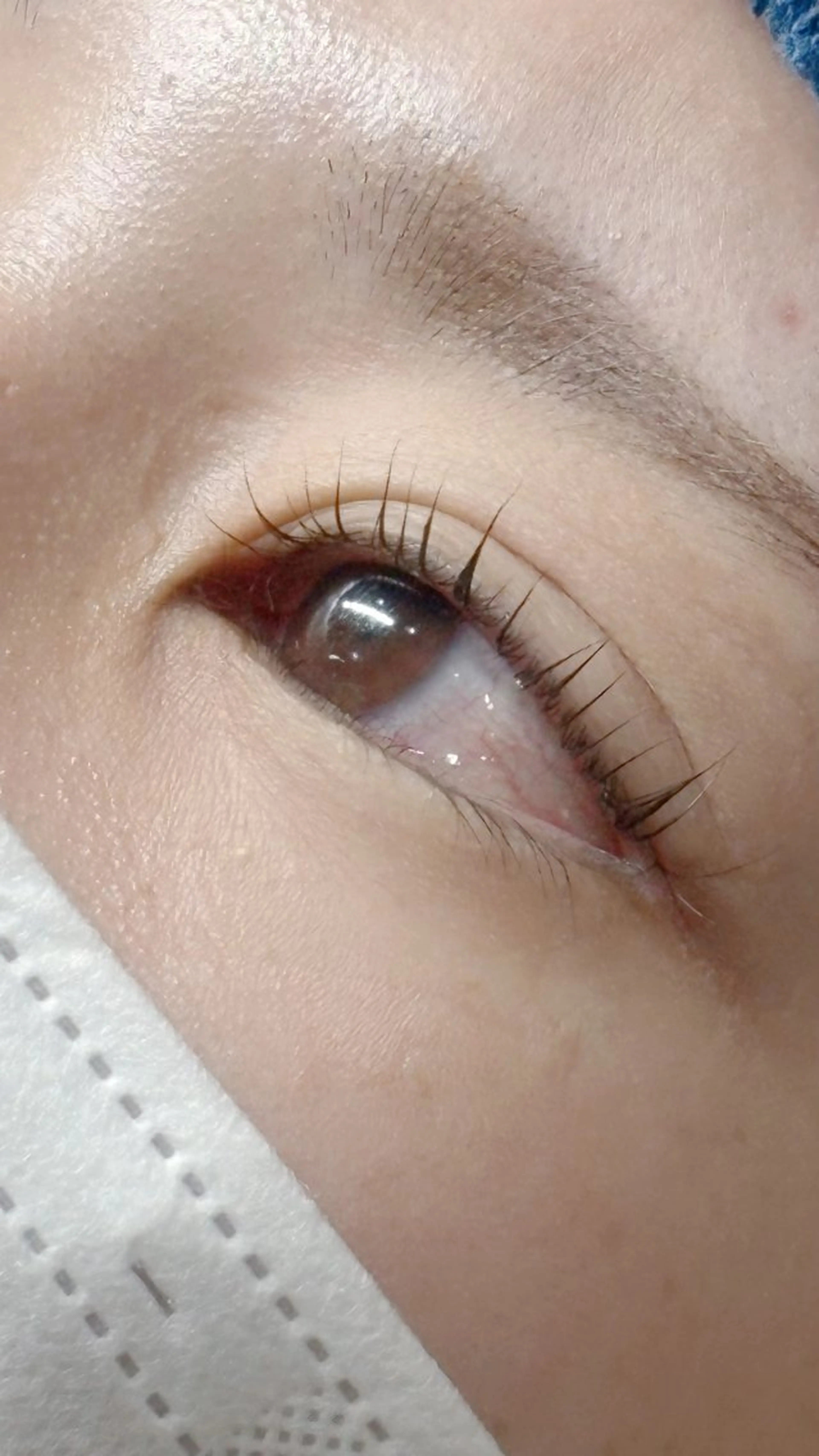 マツエク・マツパ 長 井のマツエク・マツパデザイン