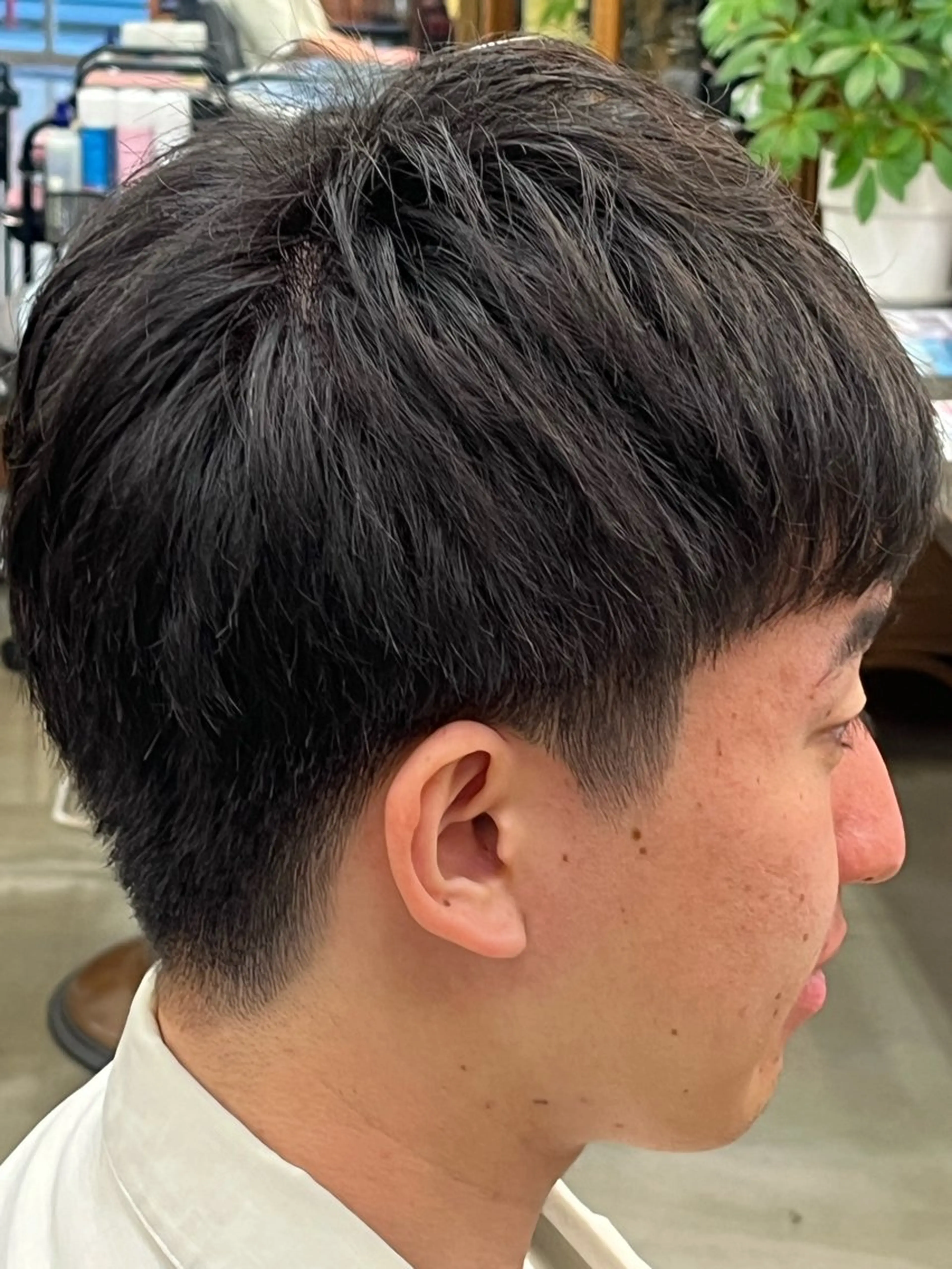 ショート メンズ マッシュ 刈り上げ 中島 海斗のヘアスタイル