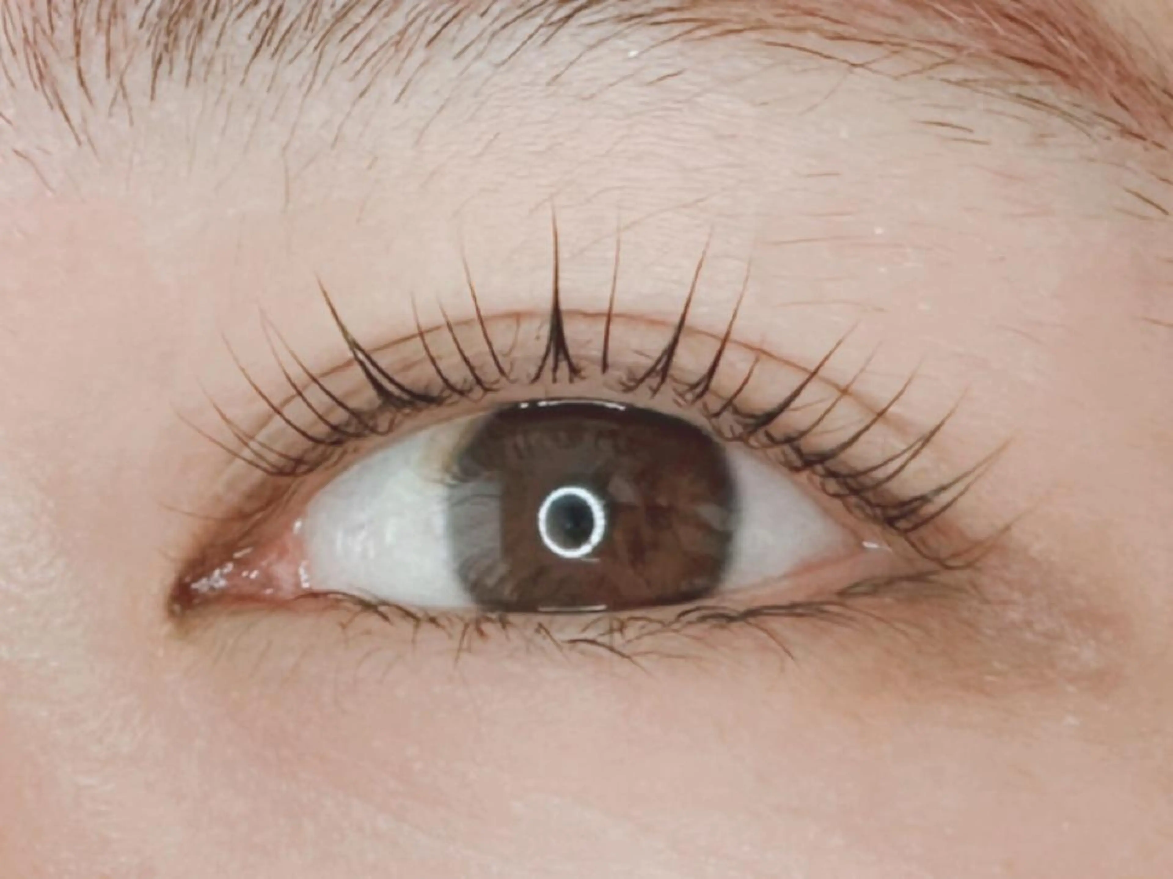 マツエク・マツパ パリジェンヌラッシュリフト マツパ 𝐉𝐎𝐋𝐈 アイリスト ❤︎のマツエク・マツパデザイン