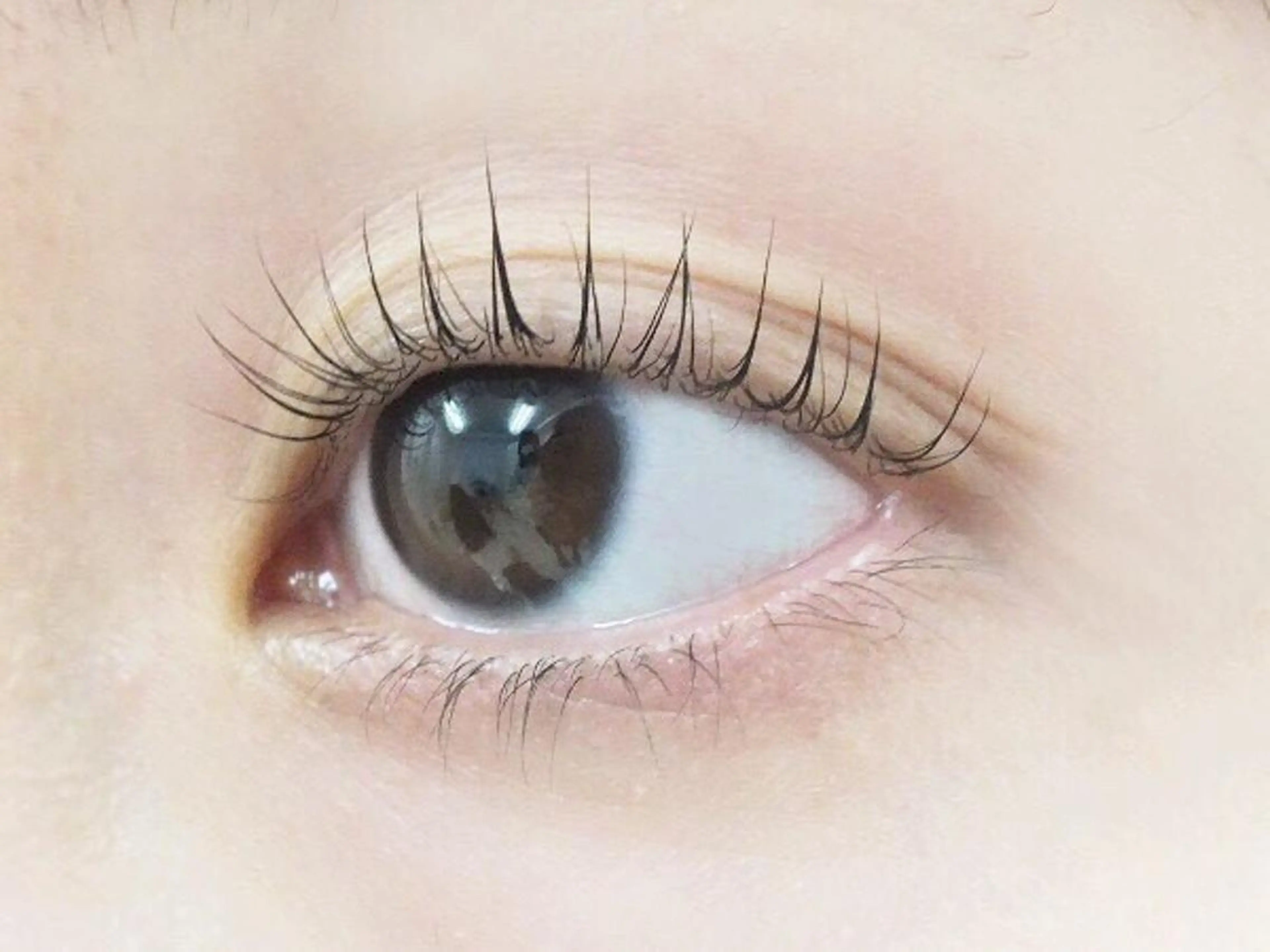 マツエク・マツパ マツパ Roco‘Lush 池袋店MAKINOのマツエク・マツパデザイン