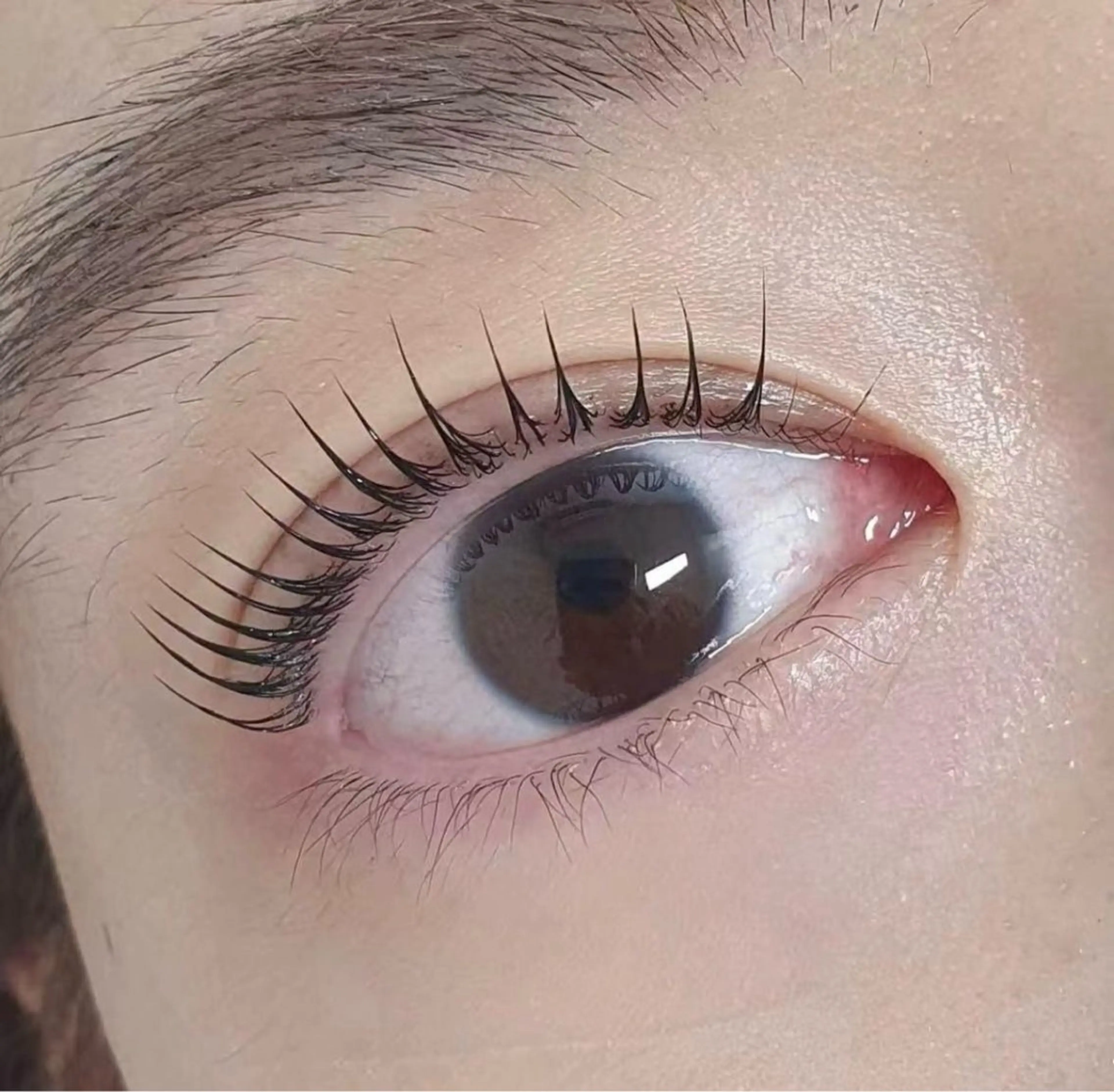 マツエク・マツパ Miku 🦋のマツエク・マツパデザイン