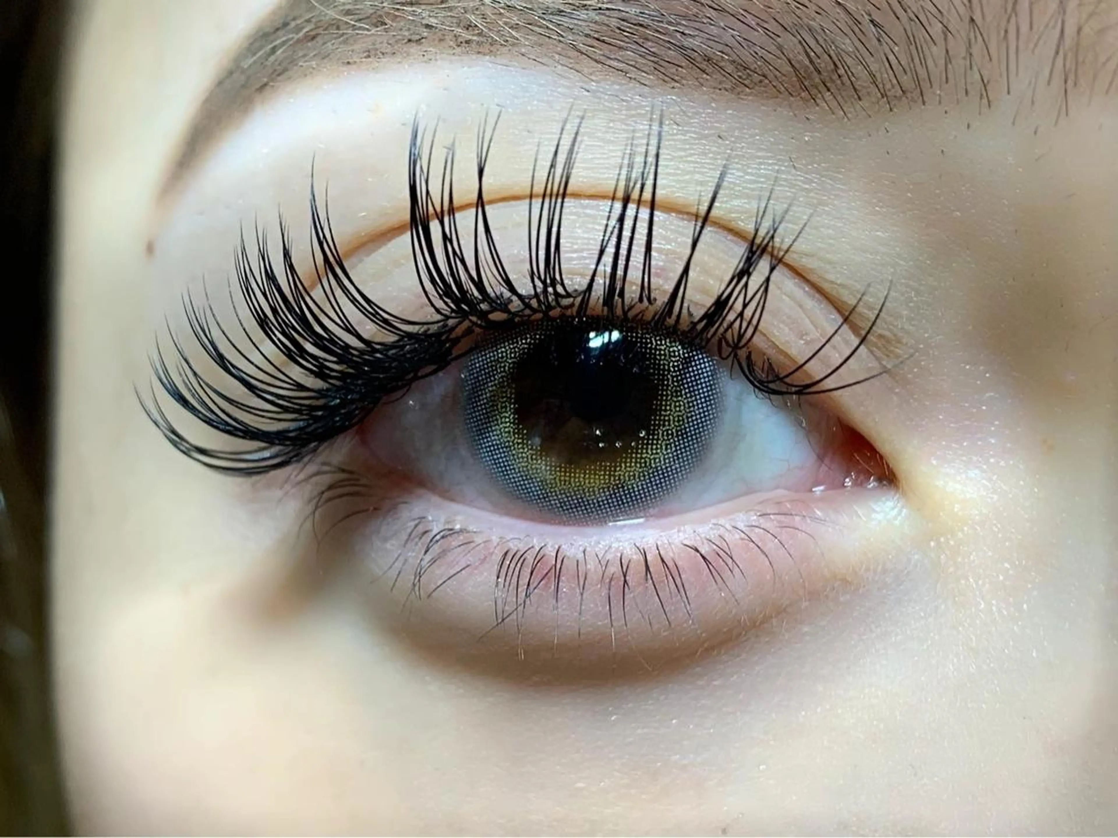 8500円💫フラットラッシュつけ放題！ボリュームをお手軽に🌈高持続🌈長さ8​〜​14㎜/J~Dカールの写真