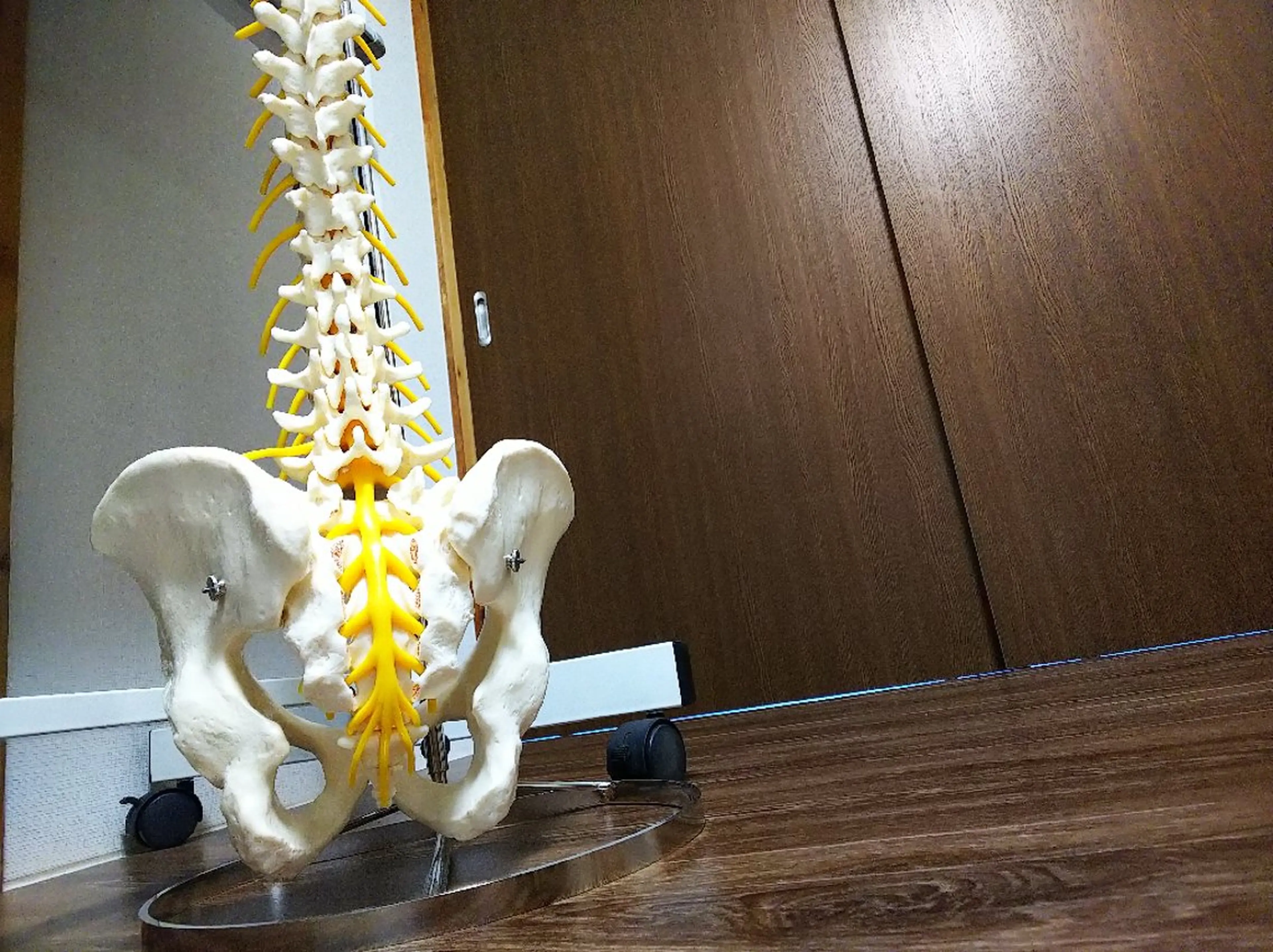 リラク カイロプラクティック佳所属・【腰痛/肩こり/ 頭痛】　上野浩司のエステ・リラクイメージ