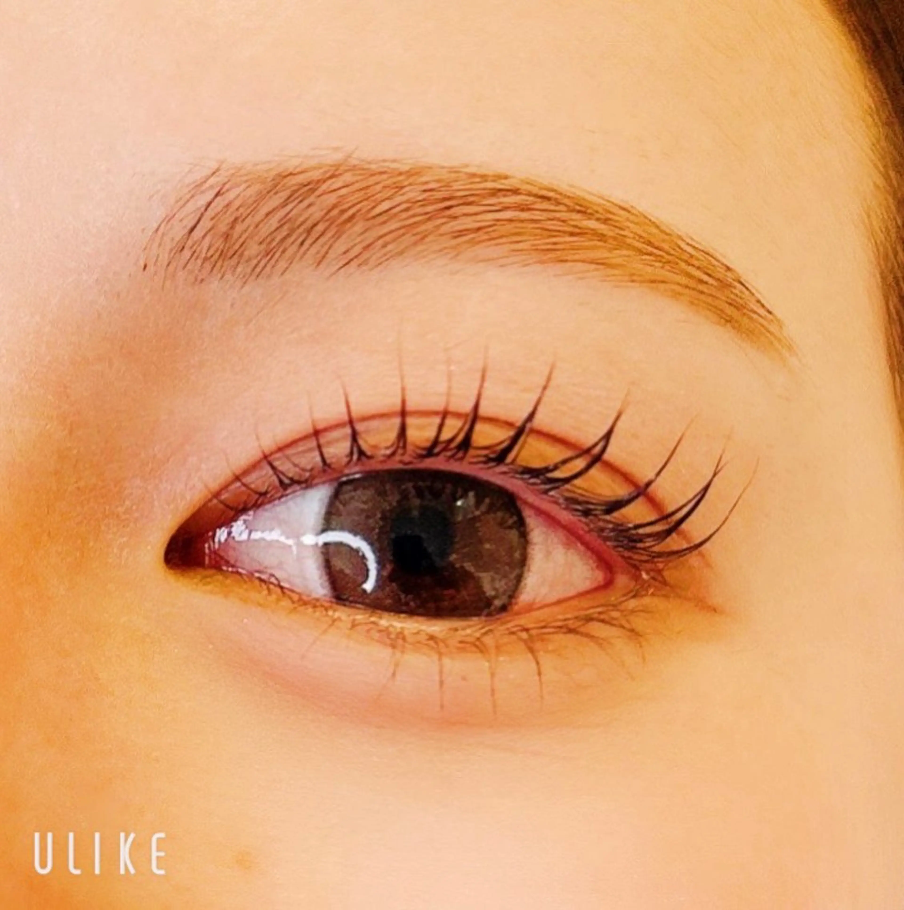 マツエク・マツパ パリジェンヌラッシュリフト まつげパーマ マツパ 目元・まつパ・美肌フ ェイシャル谷町四丁目のマツエク・マツパデザイン