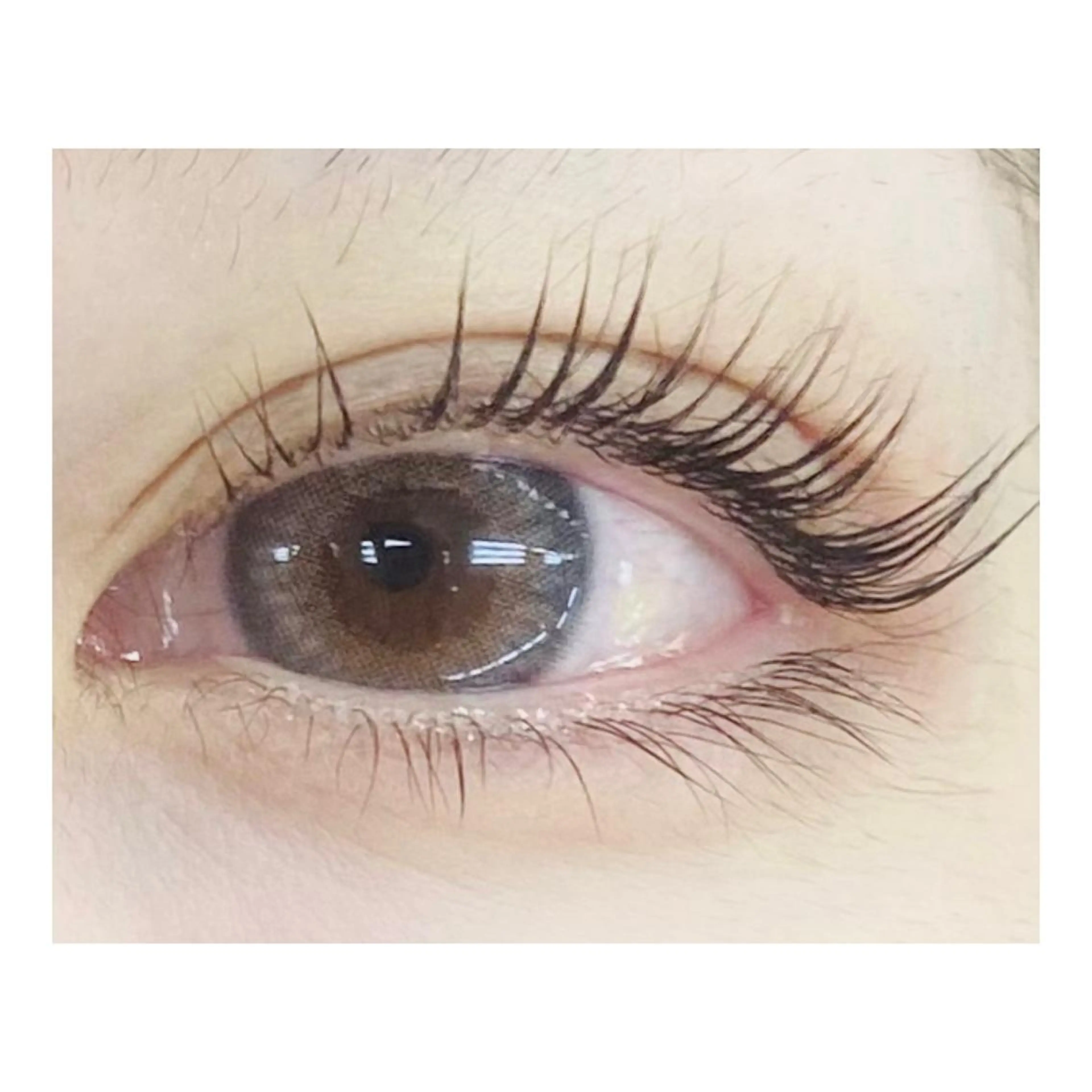 パリジェンヌラッシュリフトの写真